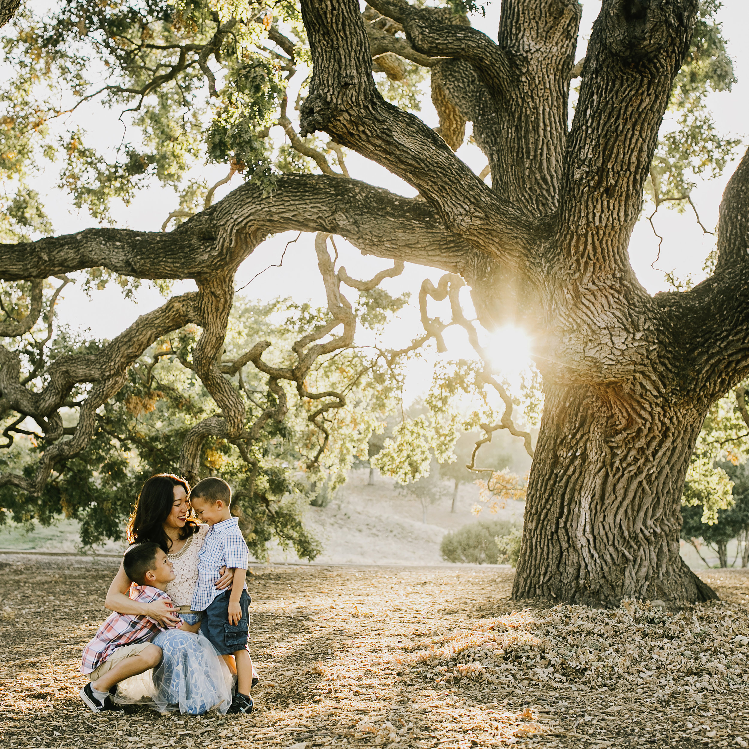 single mom with two little boys asian under big beautiful tree at sunset.jpg
