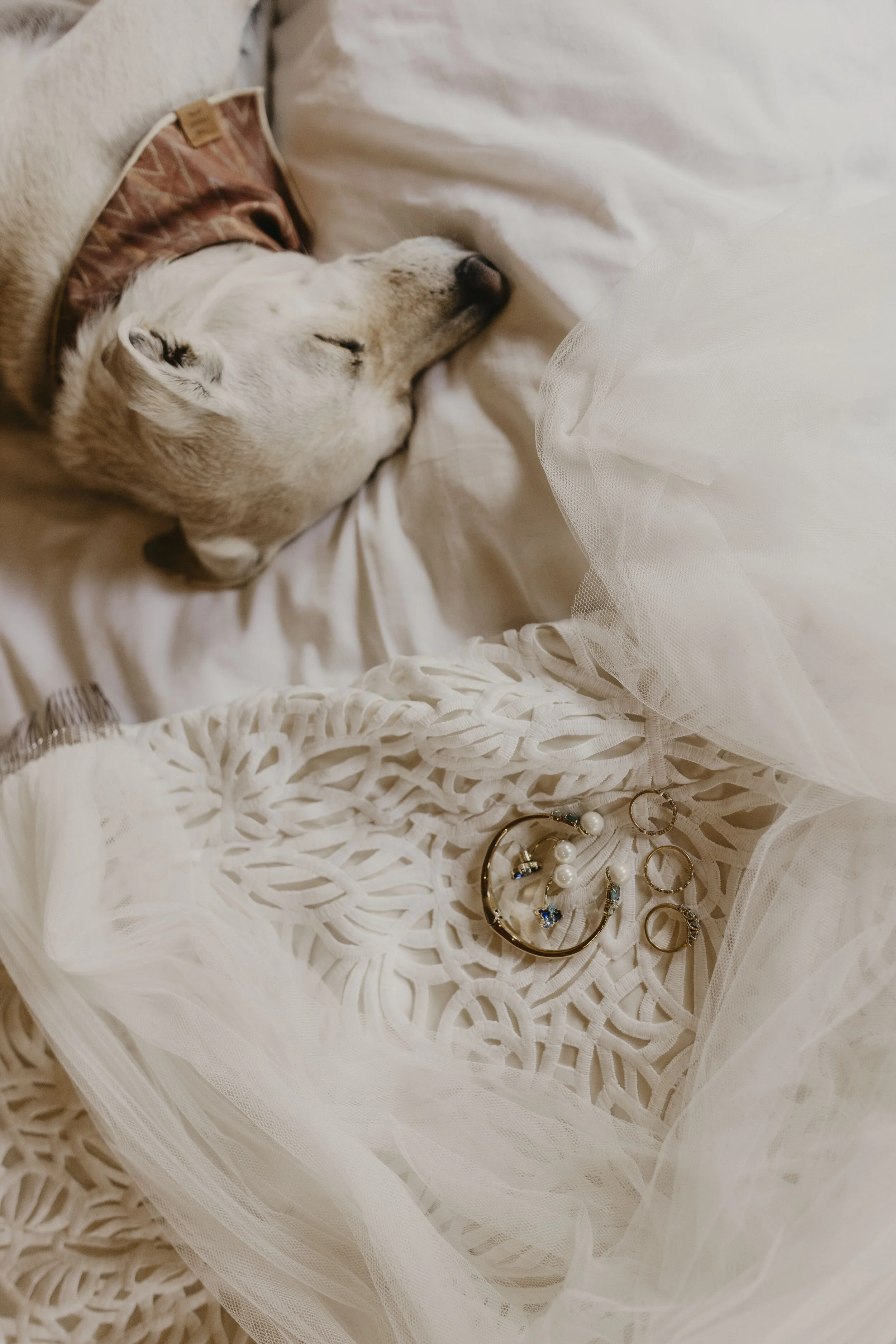 0016Ashley and Greg Sneak Peeks.JPG