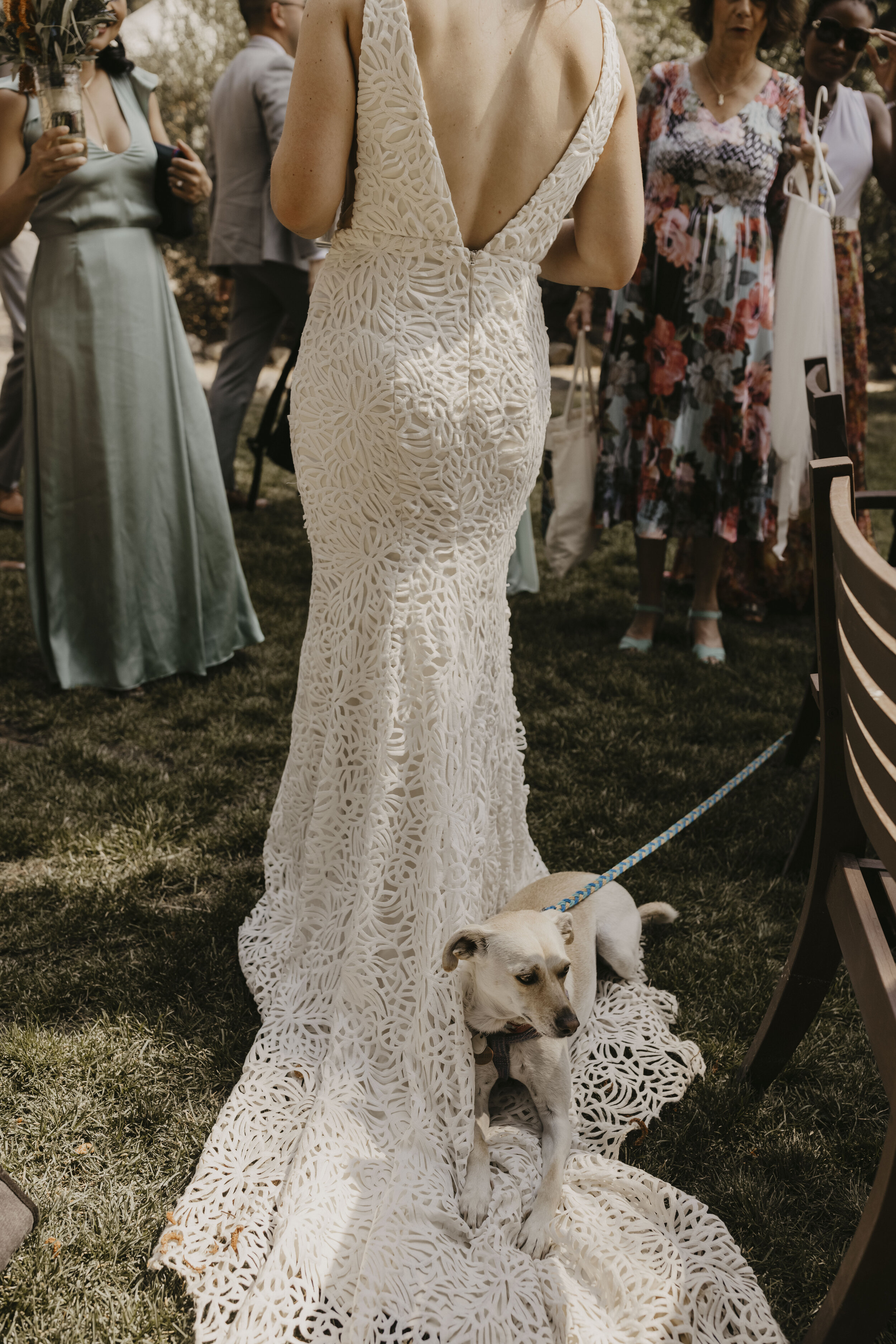 0028Ashley and Greg Sneak Peeks.JPG