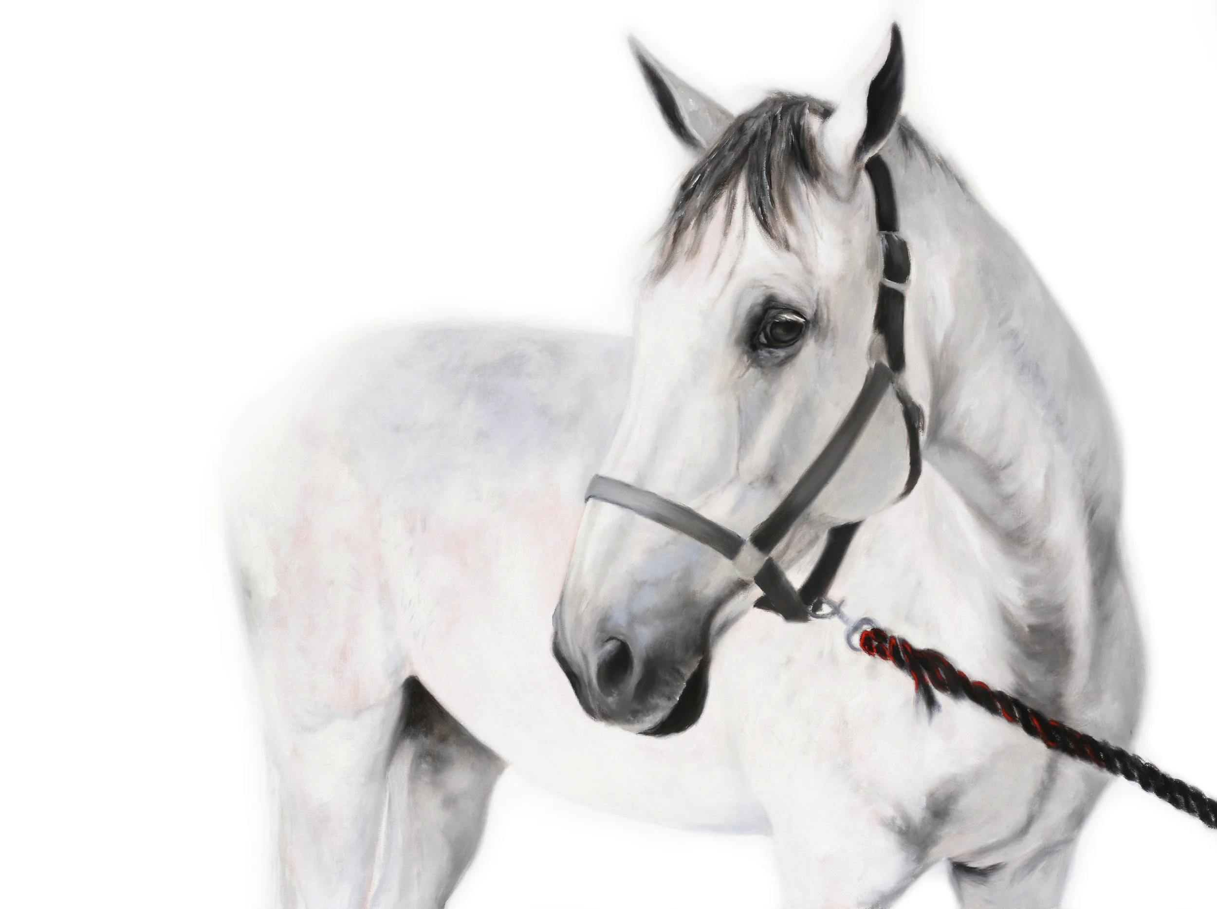 - SOLD - Peaceful Tension - Oil on Canvas - 30"x40" -