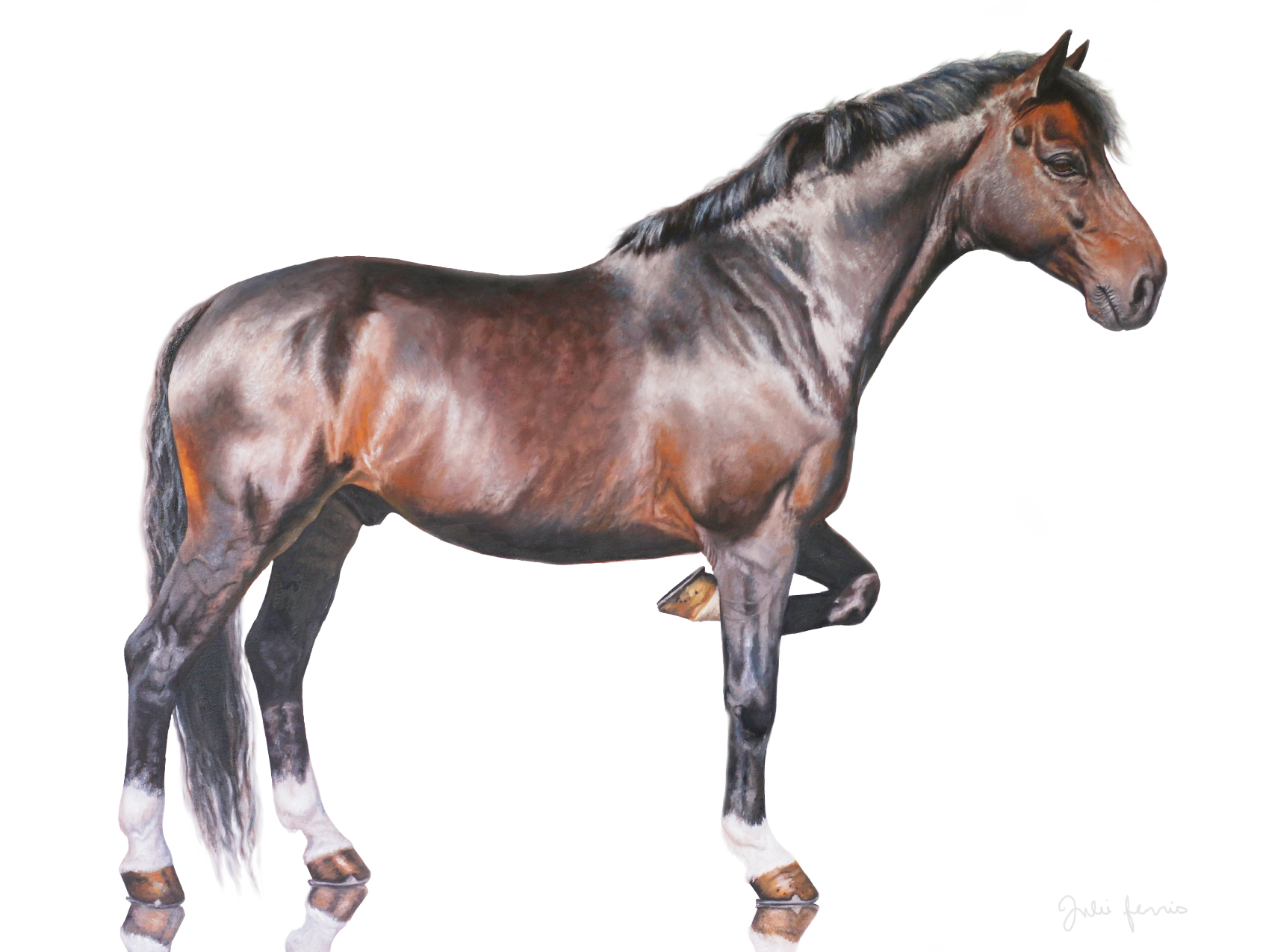 AVAILABLE - Poised - Oil on Canvas - 30"x40"