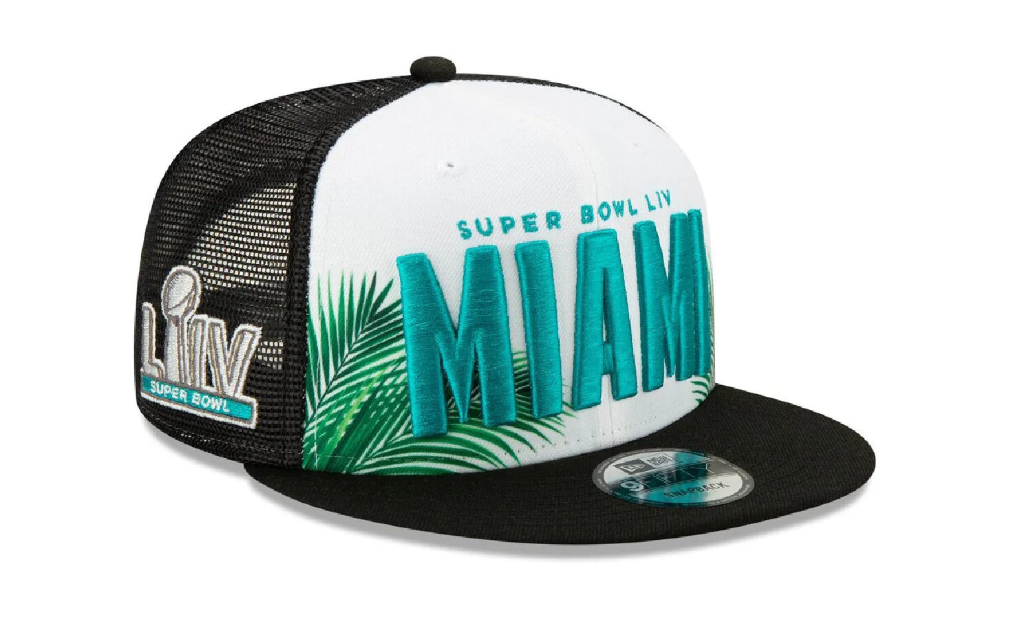 NFL Super Bowl LIV Generic 005.jpg