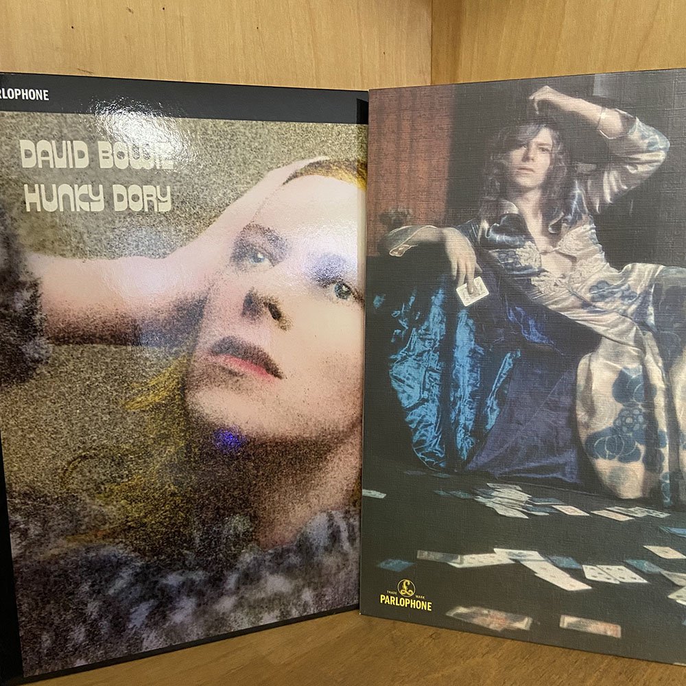 David Bowie vinyl.jpg