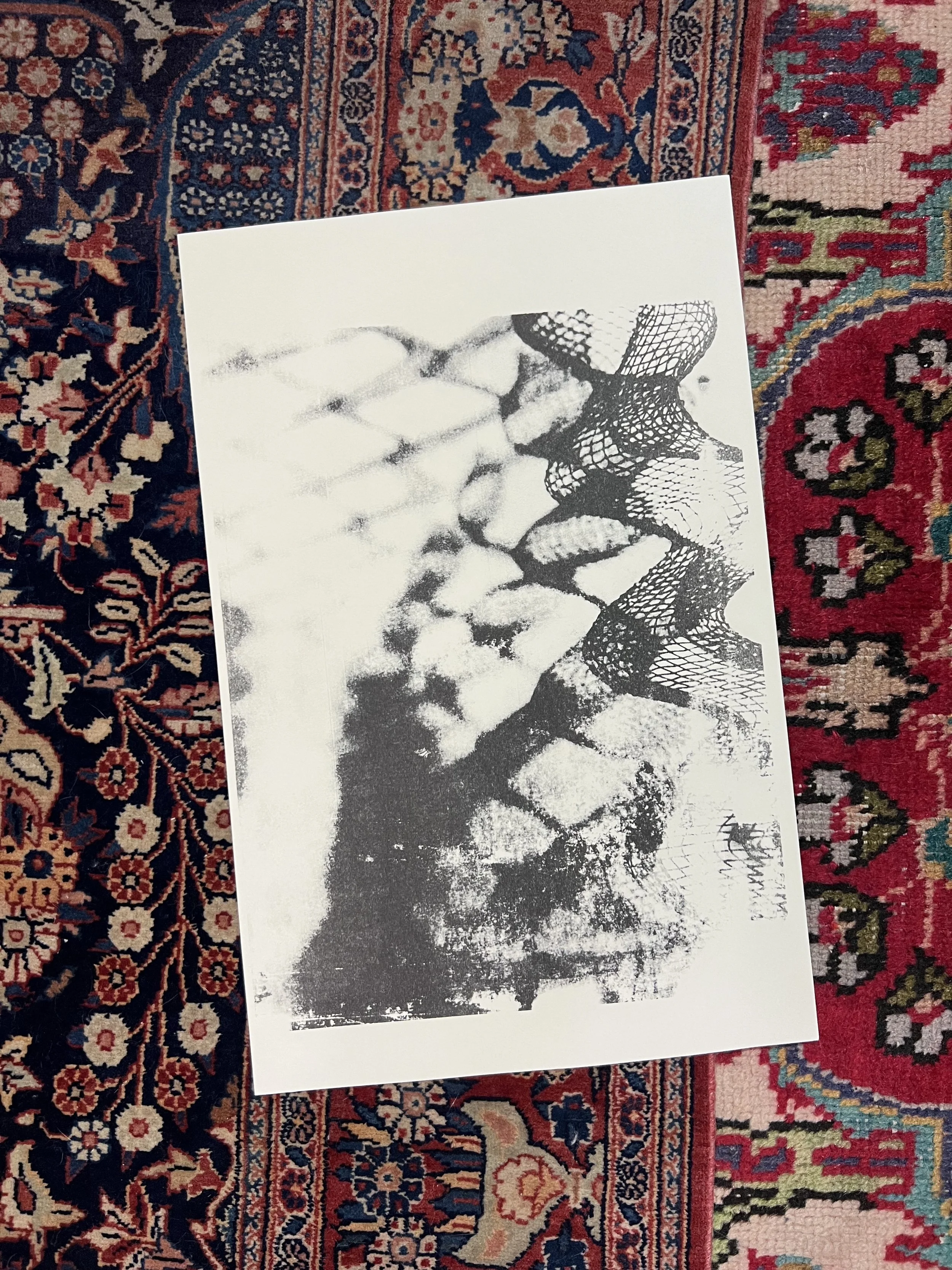 Risograph 26_Net 3.jpg