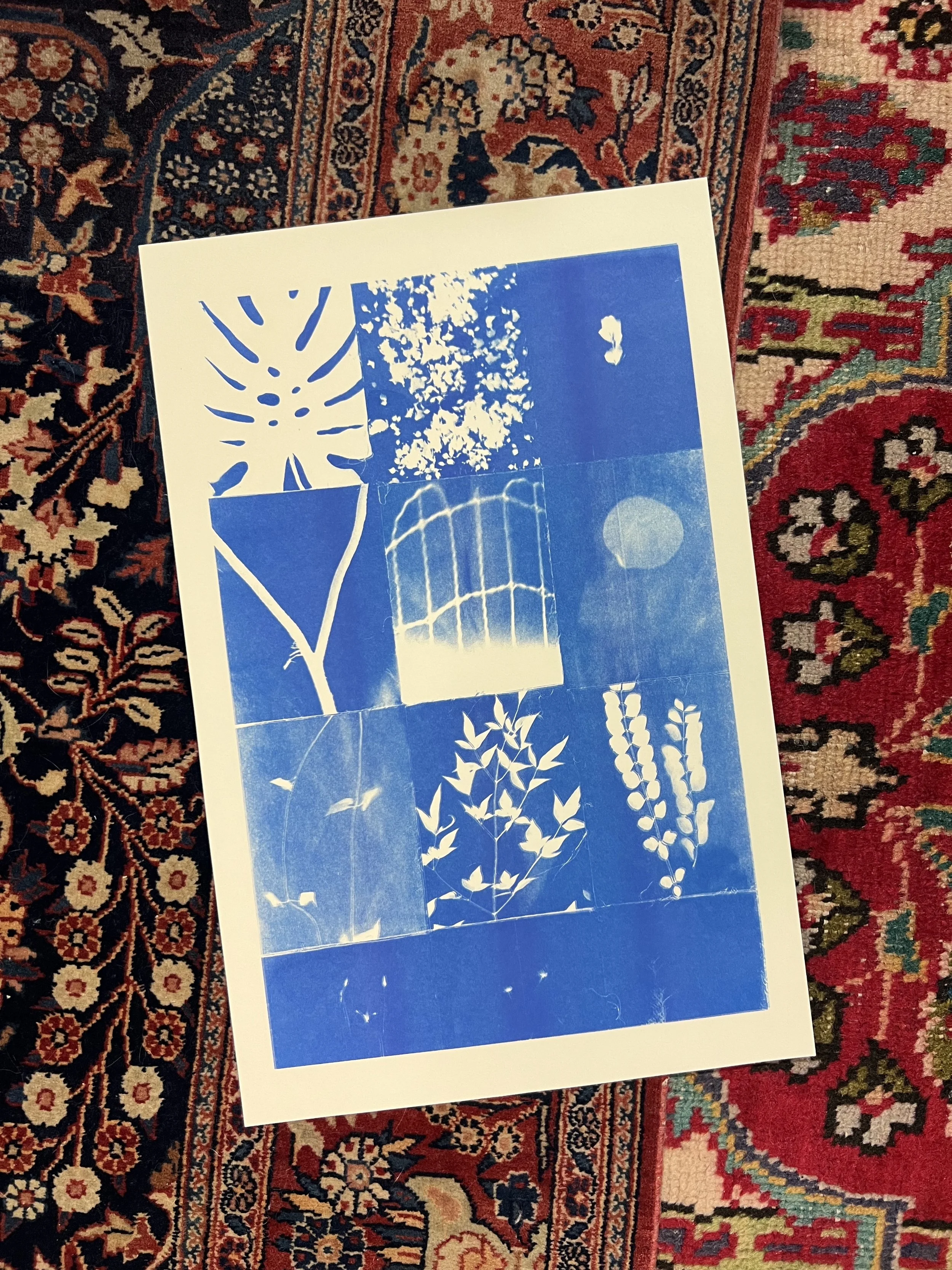 Risograph 15_Flowers in my backyard (Blue).jpg