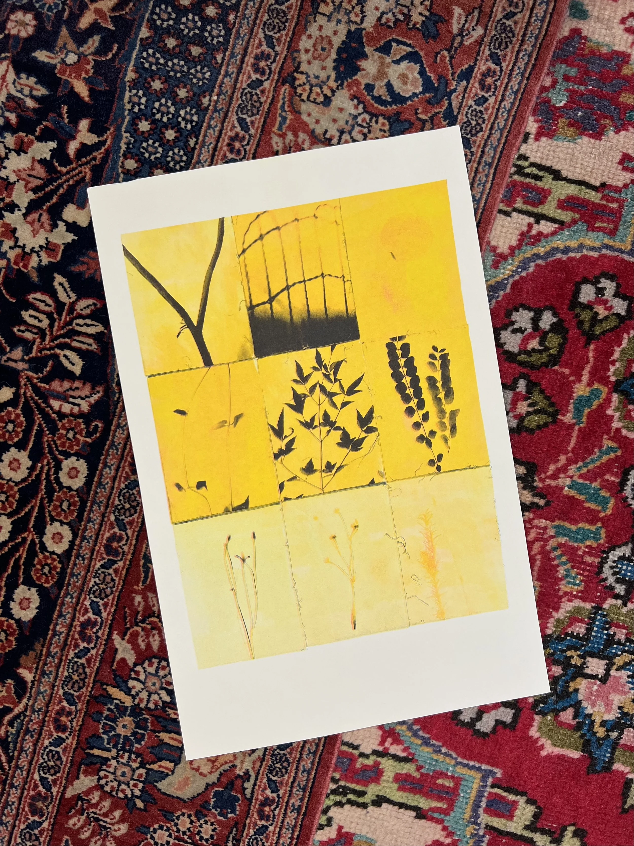 Risograph 16_Flowers in my backyard (Golden).jpg