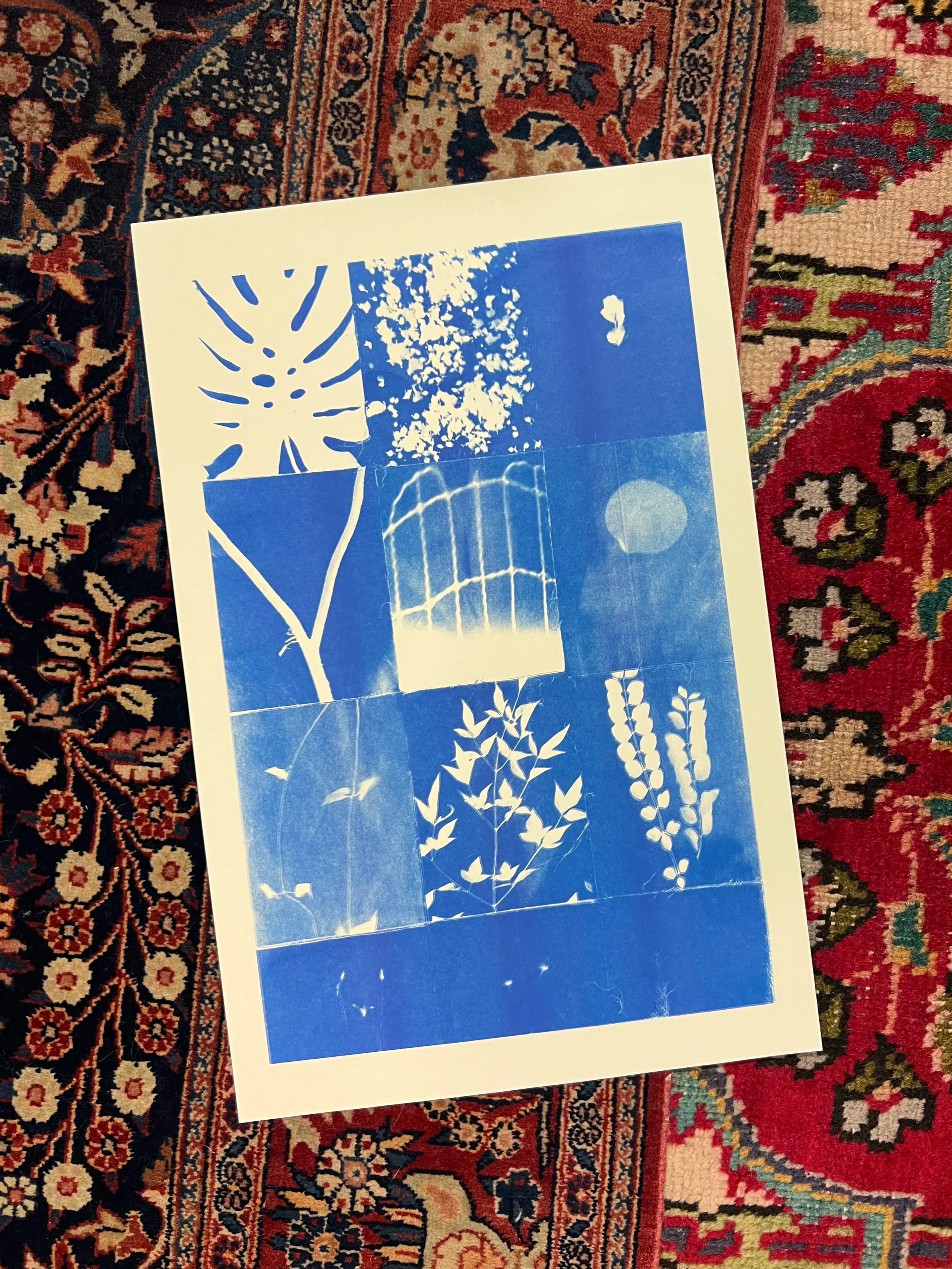 Risograph+15_Flowers+in+my+backyard+%28Blue%29.jpg