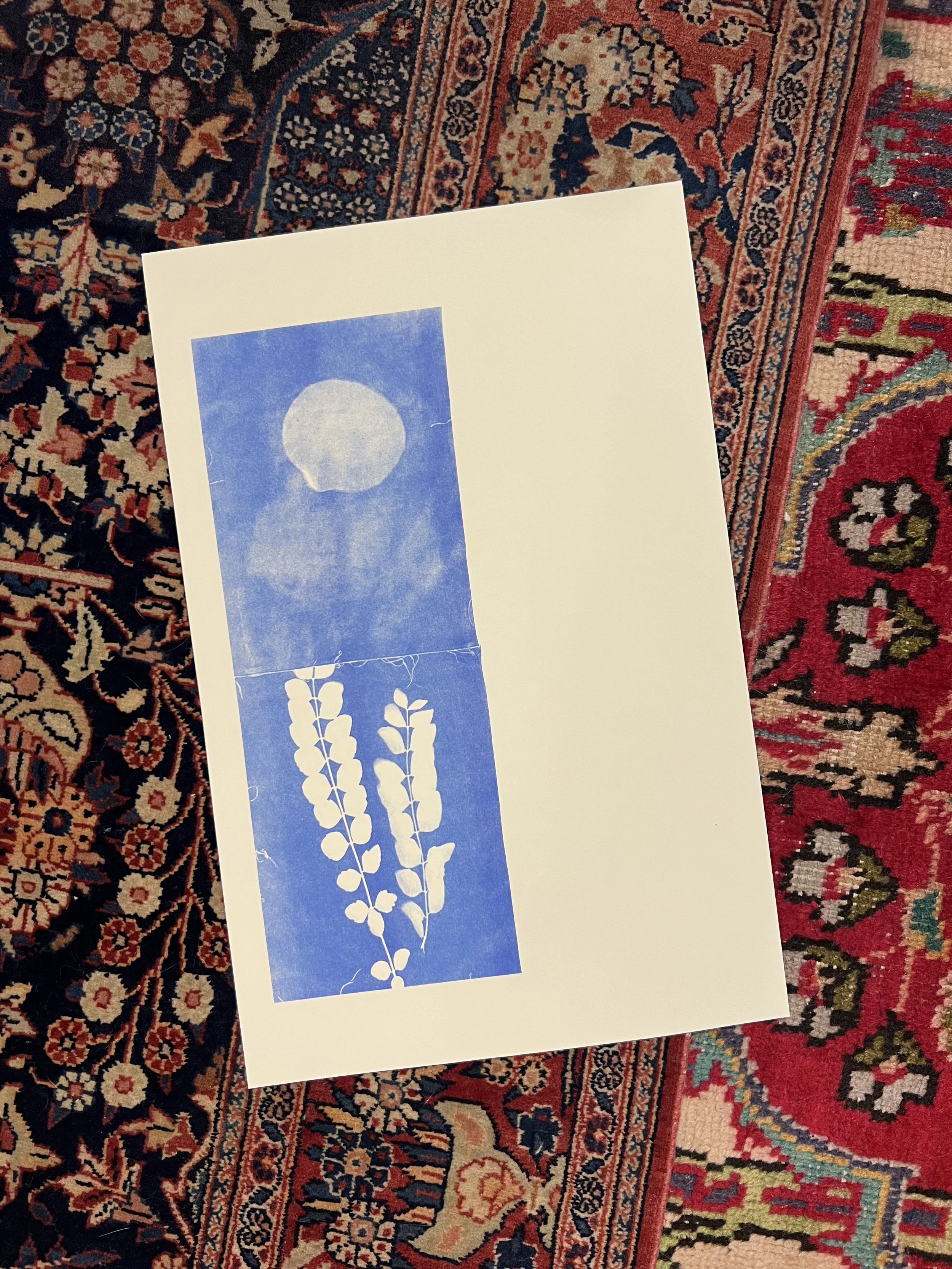 Risograph 17_Sharing Suns.jpg