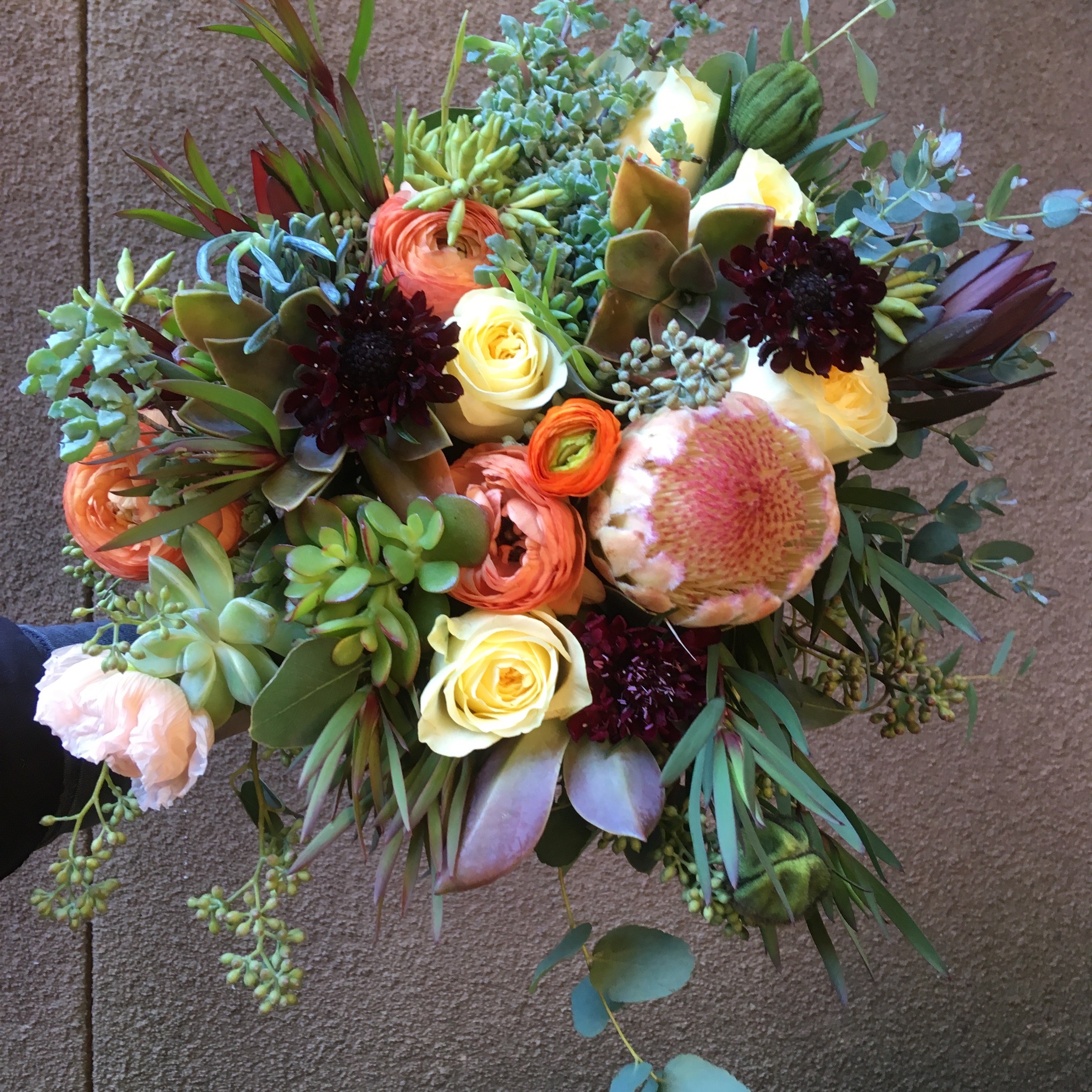 Bridal bouquet, Protea:Scabiosa:Succulents.jpeg