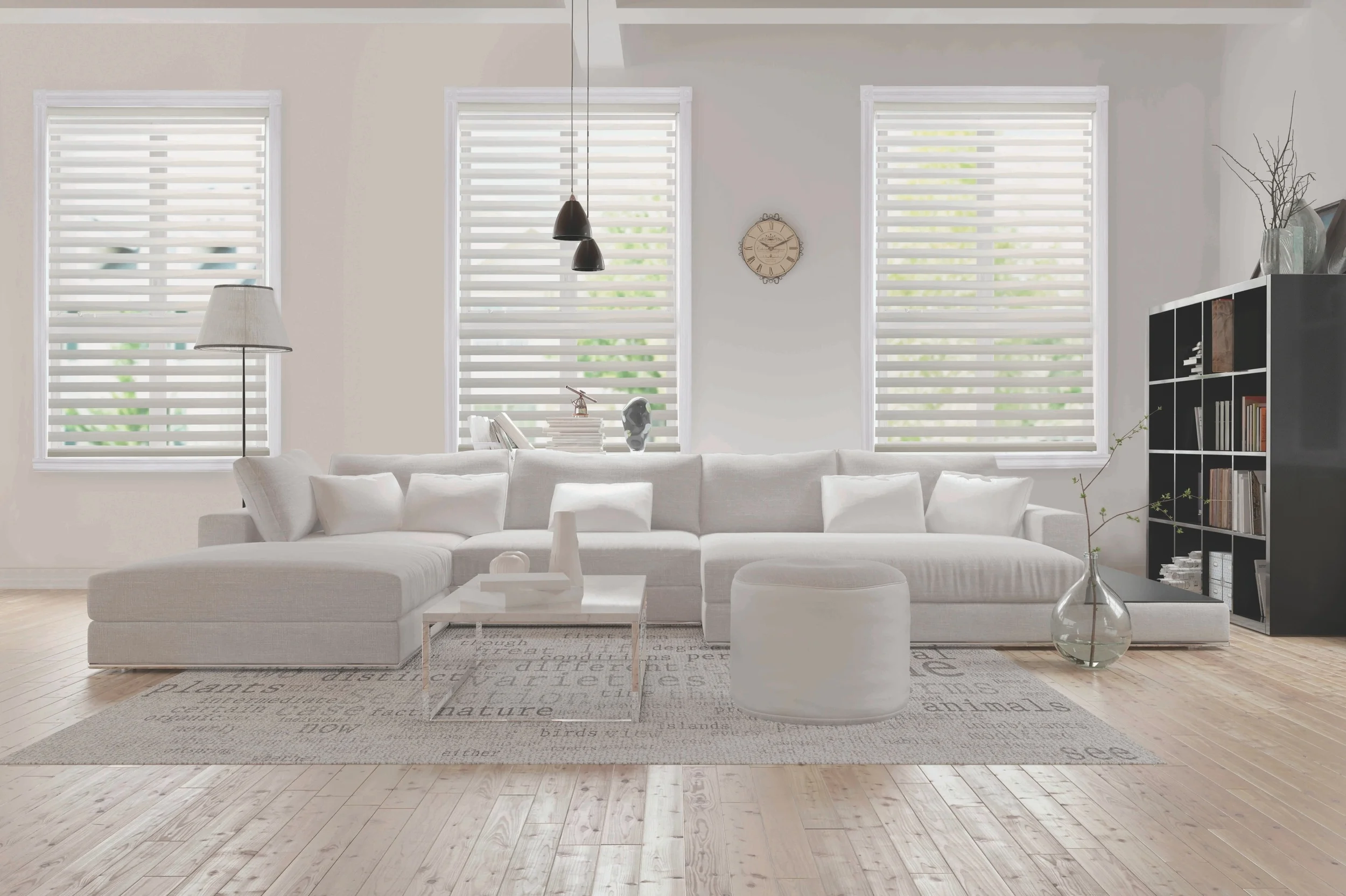 dual shade white living room.JPG