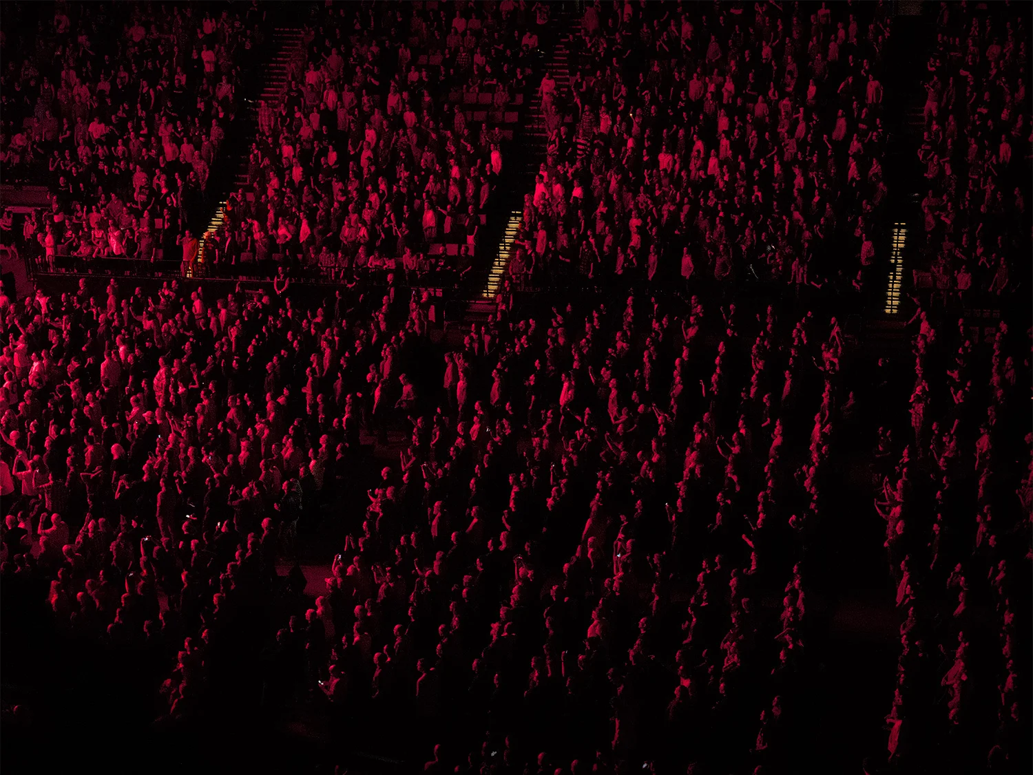 Red Ants in Rows
