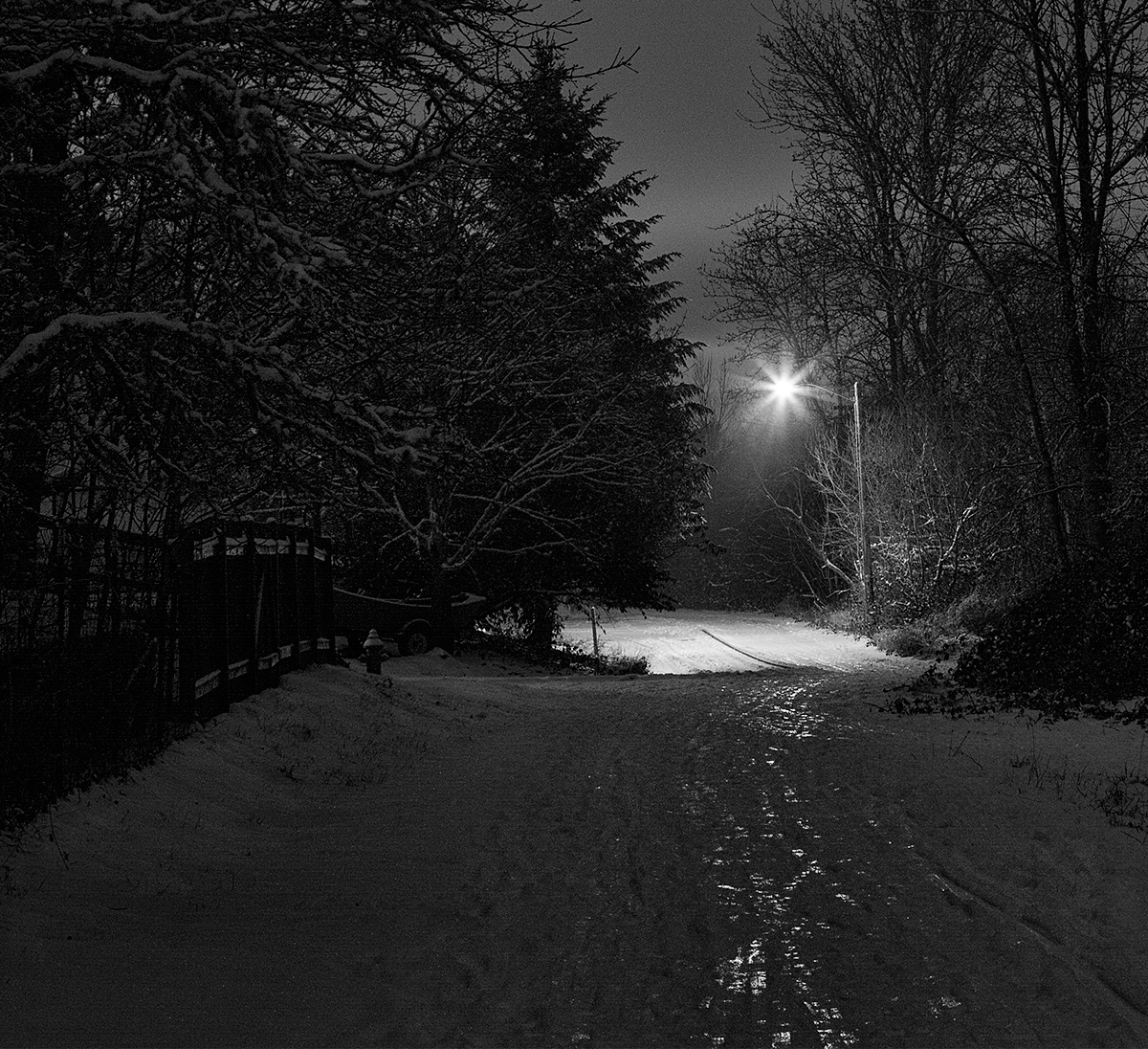 Icy Path - B&W