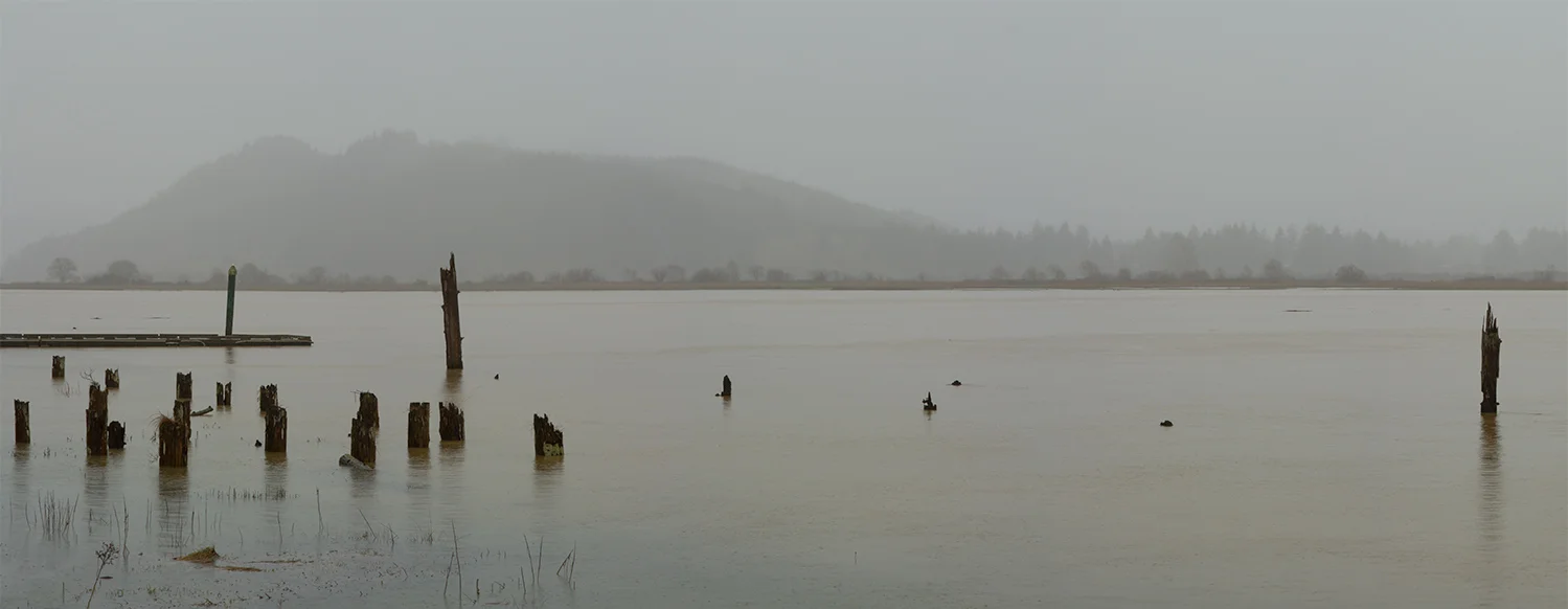 Muddy Bay