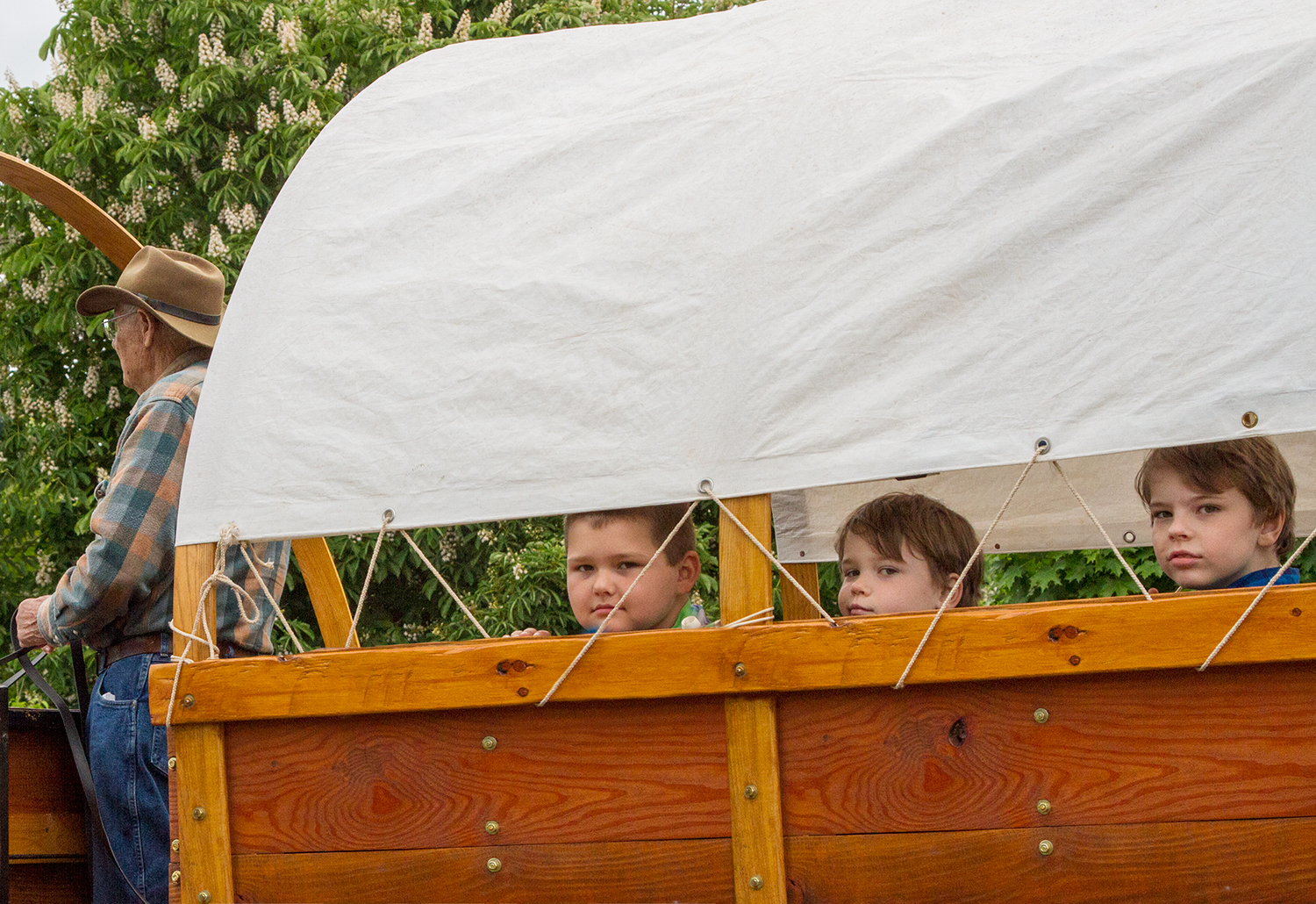 Three Boys in a Wagon