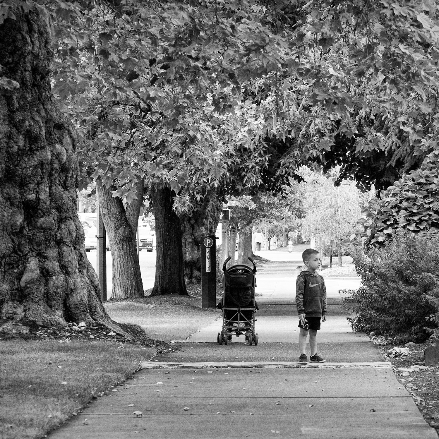 Boy in Park, B&W