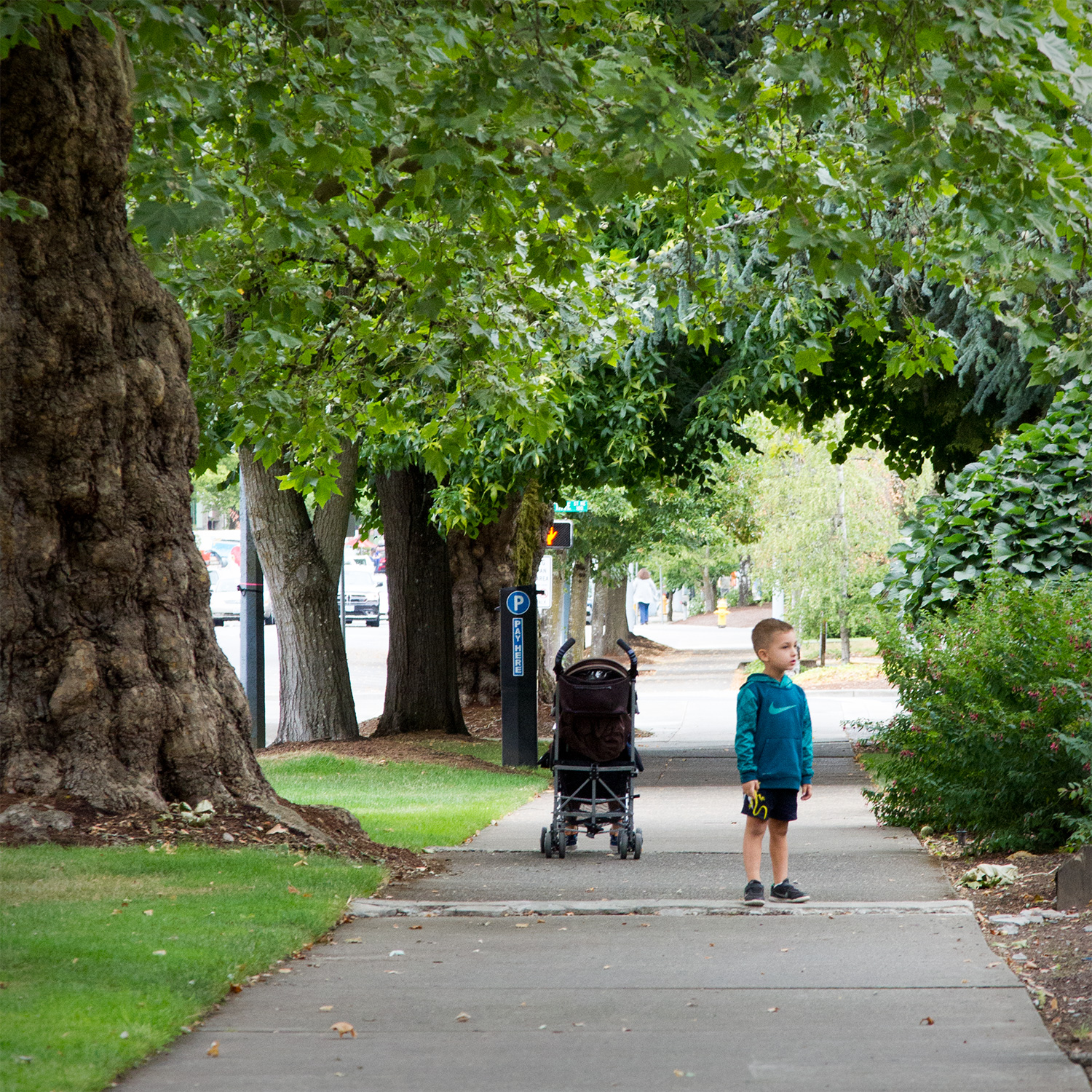 Boy in Park, color