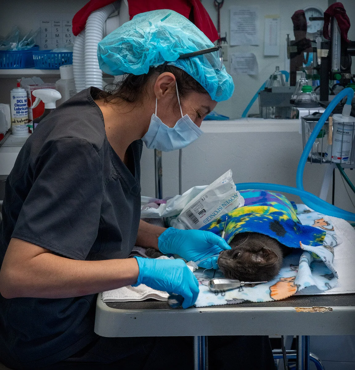Caring for her patient