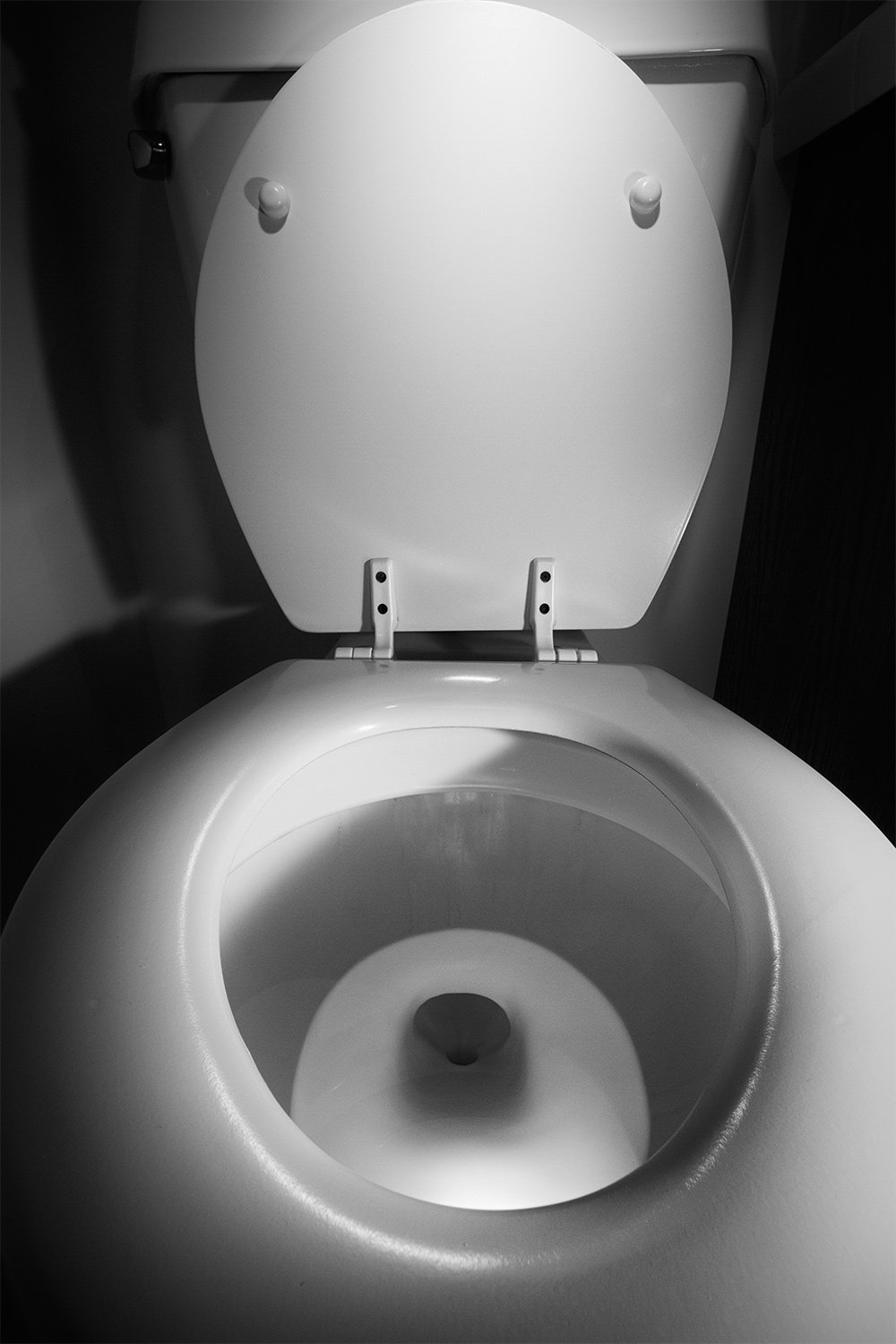 JR_Beings_Toilet_web.jpg