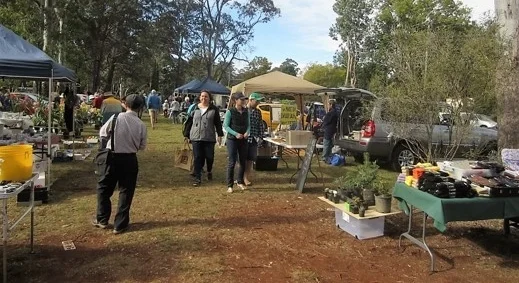 Stalls_One length_Moderately busy.jpg