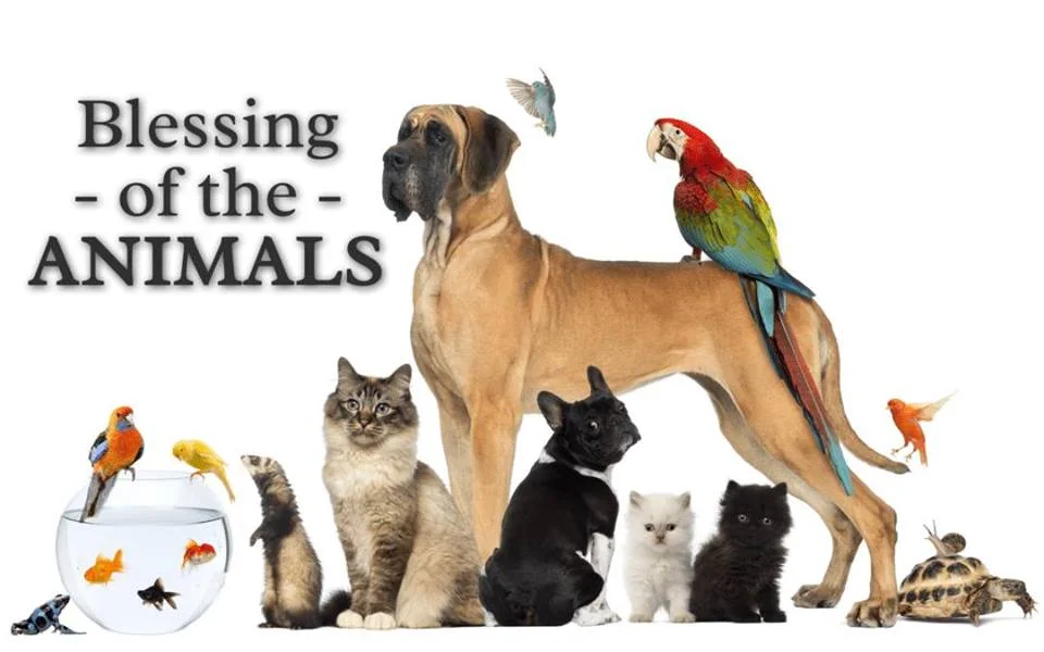 Blessing of the Animals