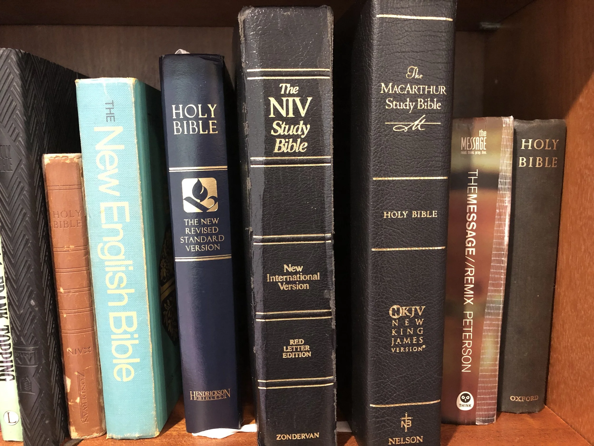 Bible Book Club: Getting the Most Out of Your Bible