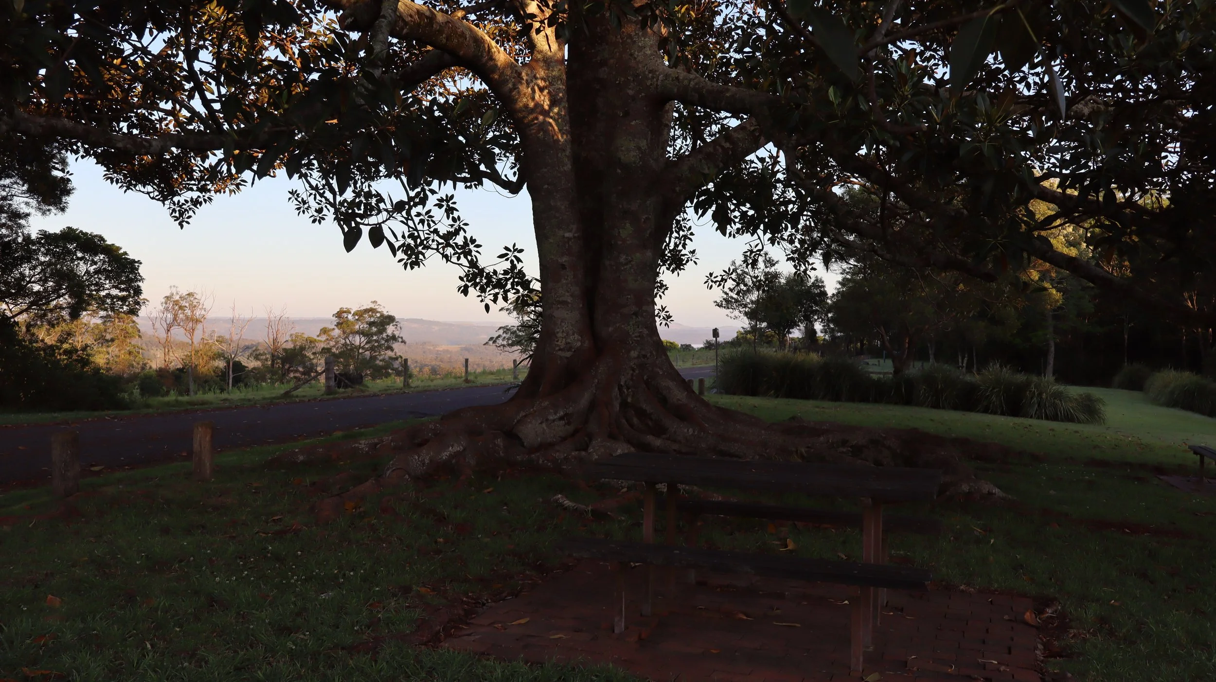 God's Outdoor Cathedral