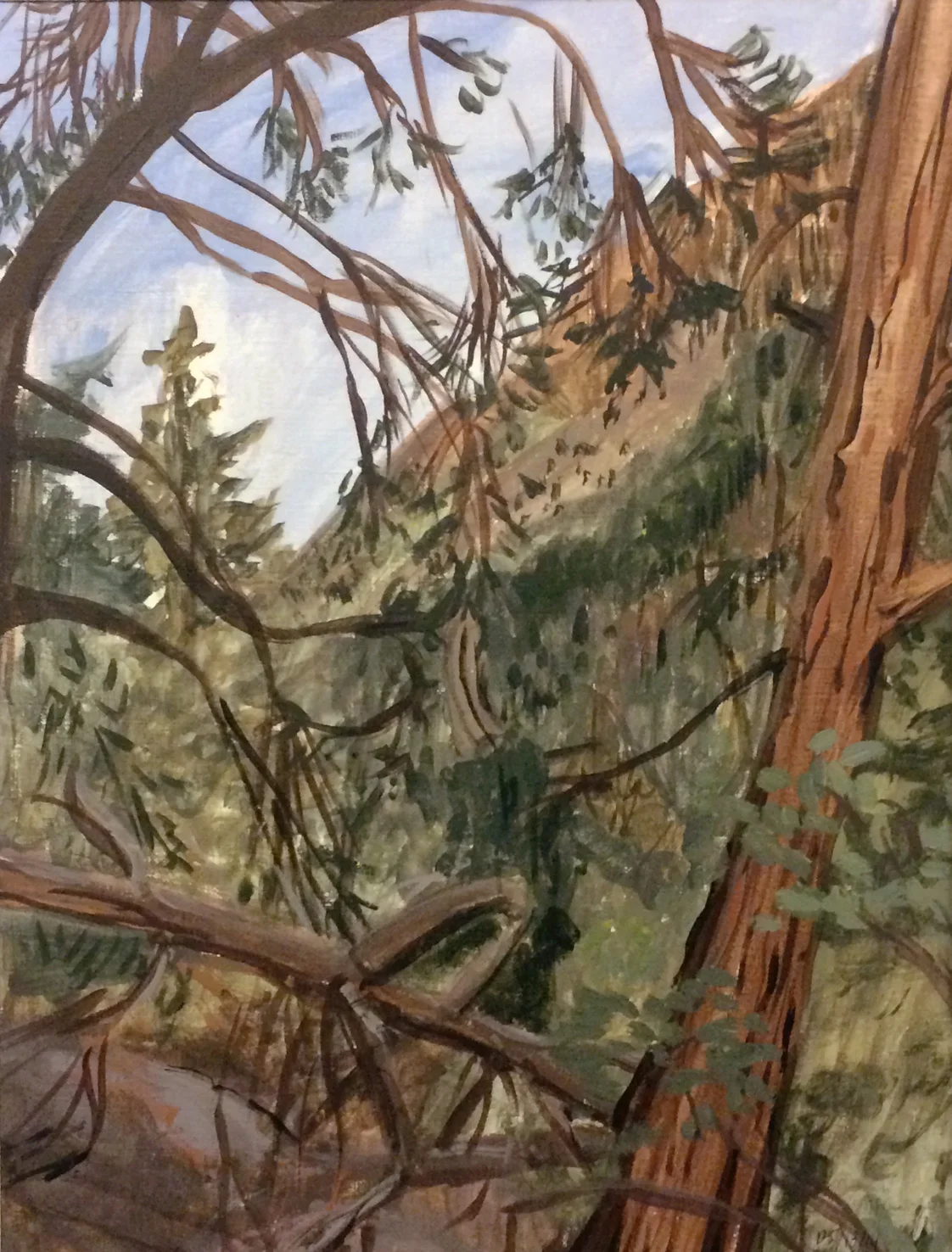 Mt. Charleston, NV