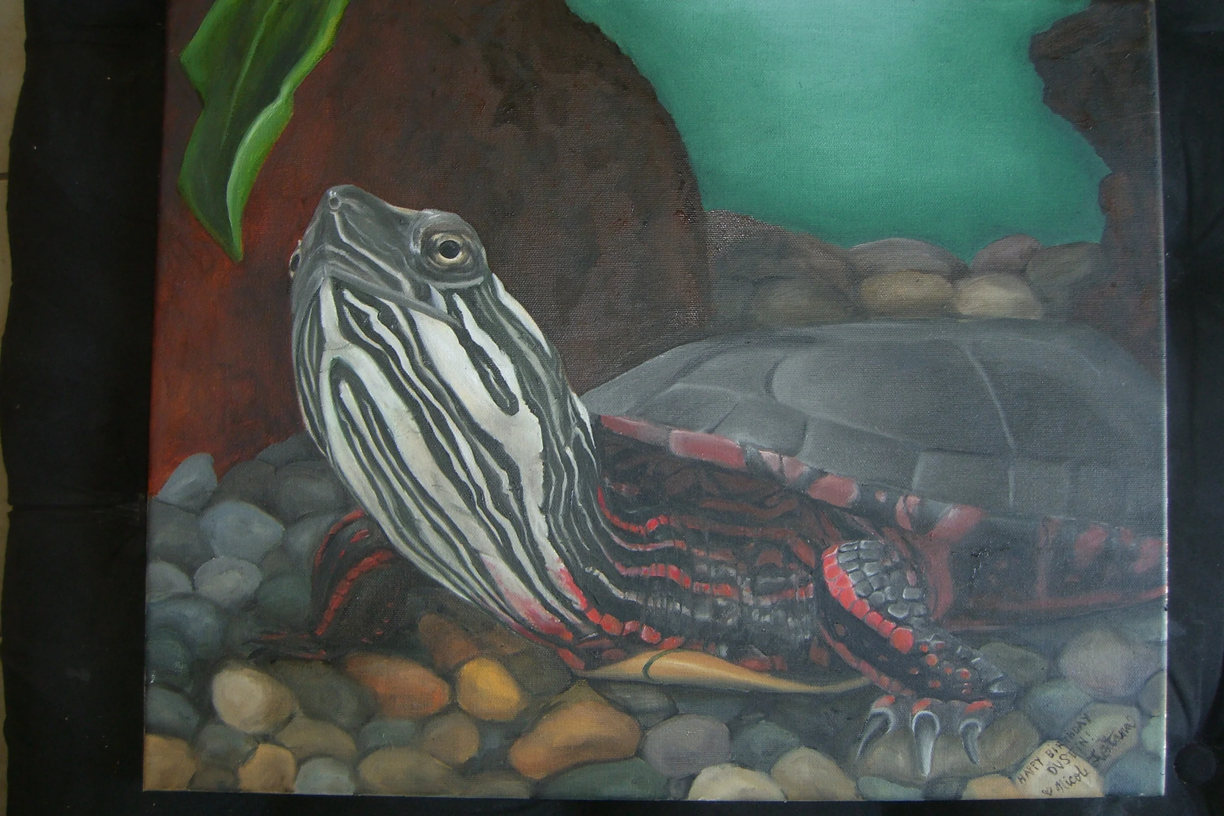 Samson the Turtle