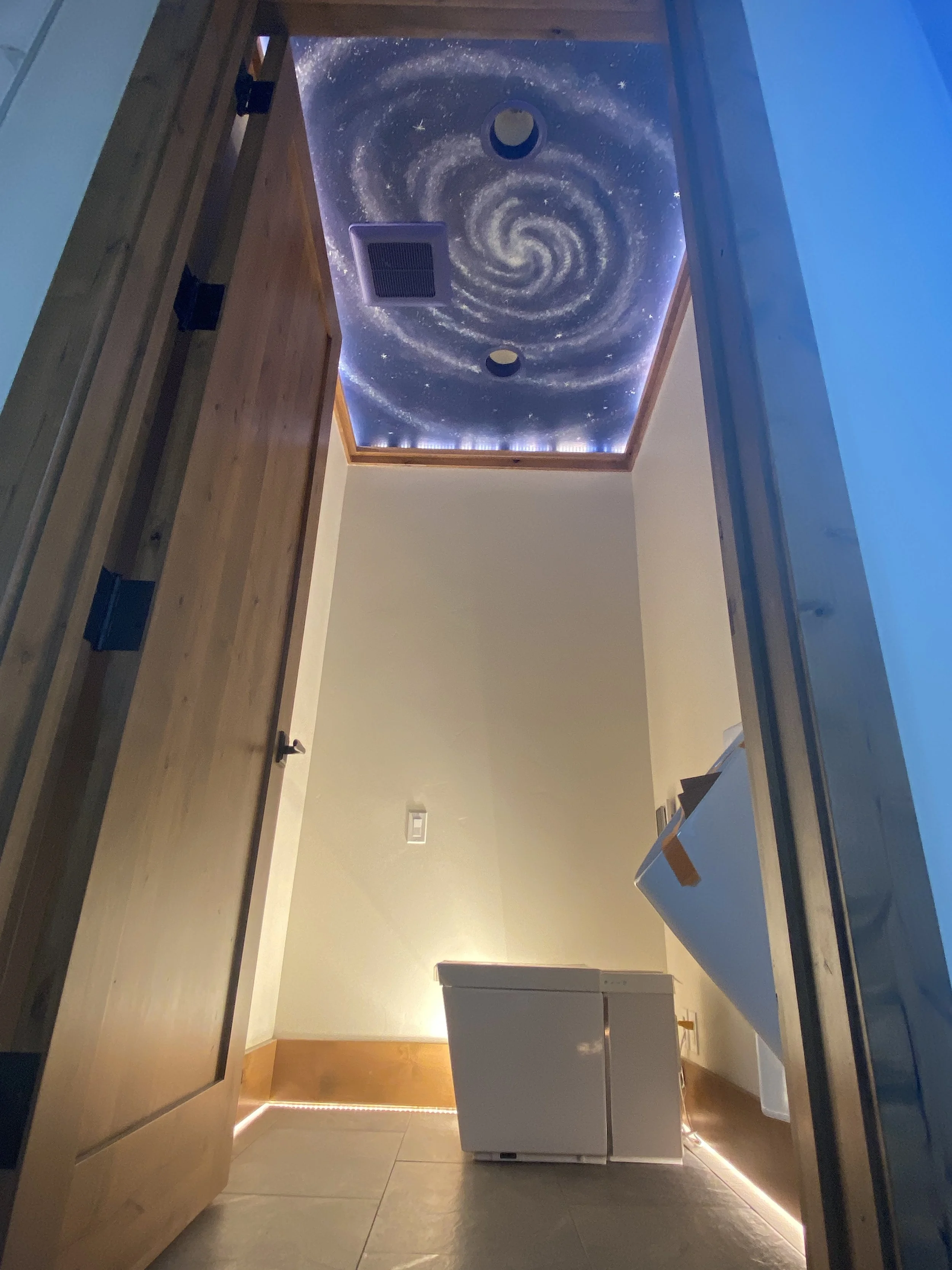 Fancy Toilet, Fancy Ceiling