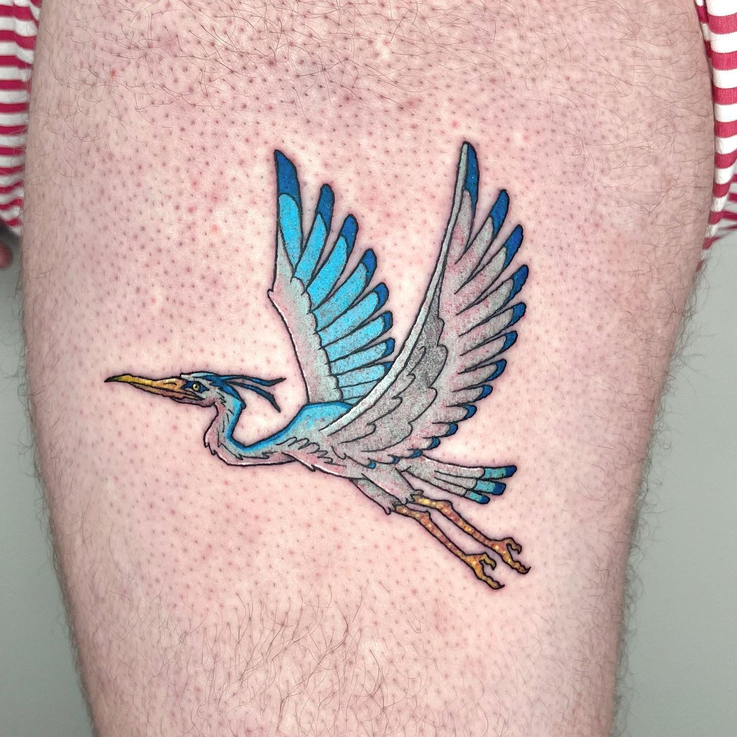The Mighty Blue Heron. 

Dm to book an appointment 
&hellip;
#tattoo #tattoonyc #flashsheet #ink #tattoos #needlework #finelinetattoo #nycflash #tattooartist #trippytattoo #cooltattoo #inked #brooklyntattoo #bktattoo #brooklyntattooartist #nyctattoo 