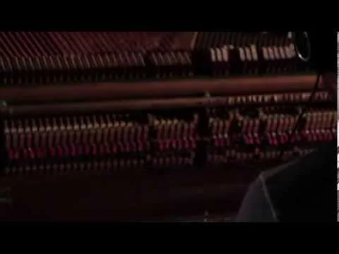 Trio Subtonic - Night Runners