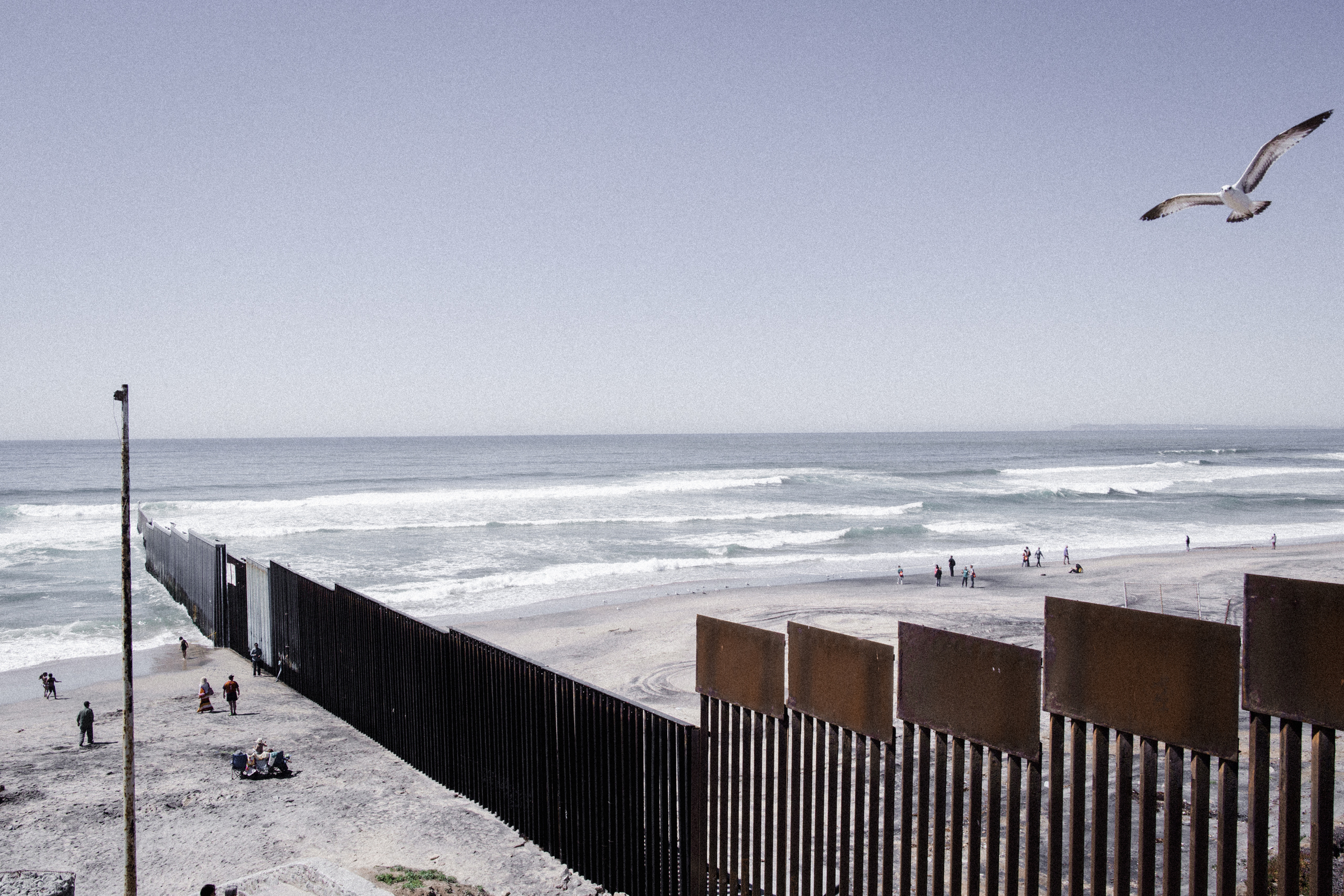 Tijuana, 2016