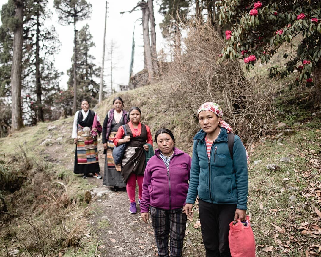 | the women of Phale |

Although the social worlds of Phale Tibetans are intimately tied to Tingkye in Tibet (where they often travel to), most Tibetans who (re)call Phale as home are now mostly settled in Boudha, Darjeeling, and Jackson Heights.

He