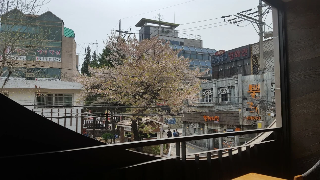 20170416_123602.jpg