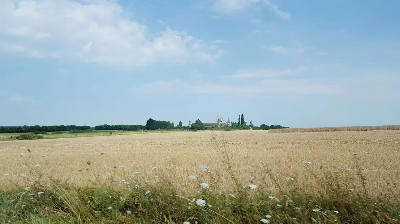 20180715_111701.jpg
