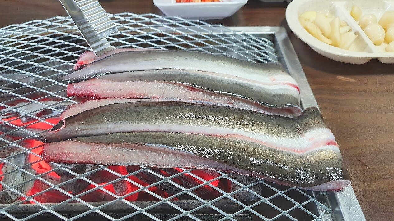 20190819_131227.jpg