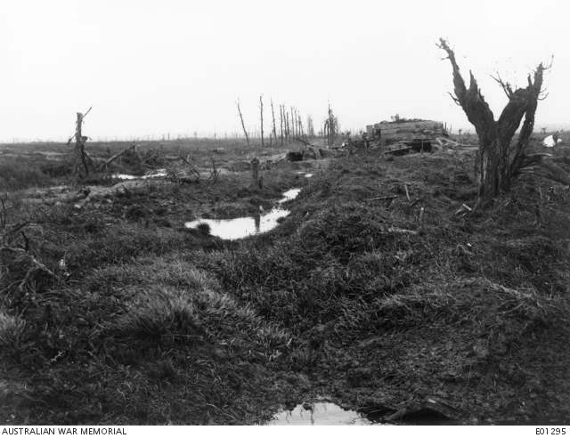 Messines 2.jpg