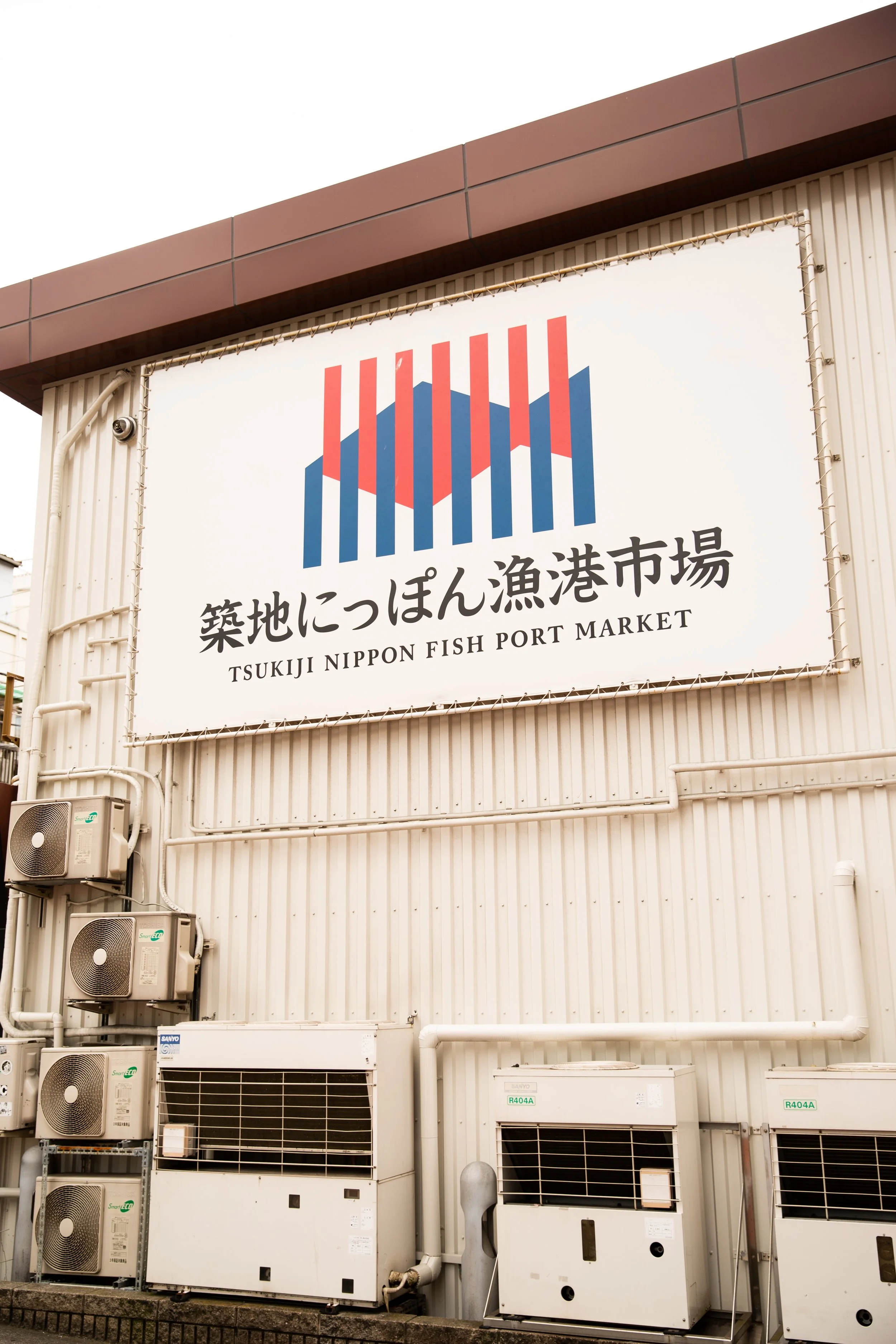 EB5A3756.jpg