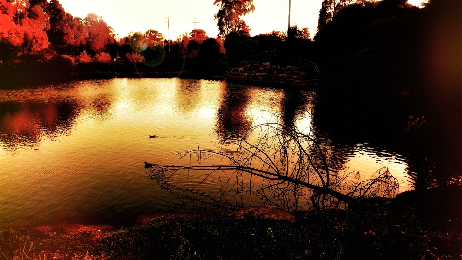 snapseed-01.jpeg