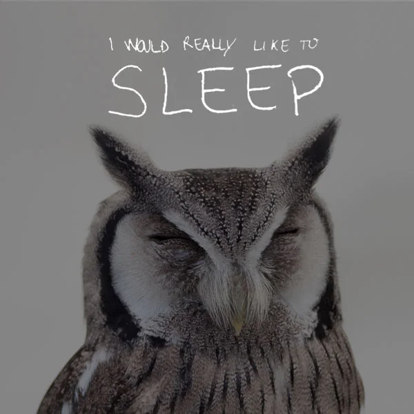 sleep.jpg