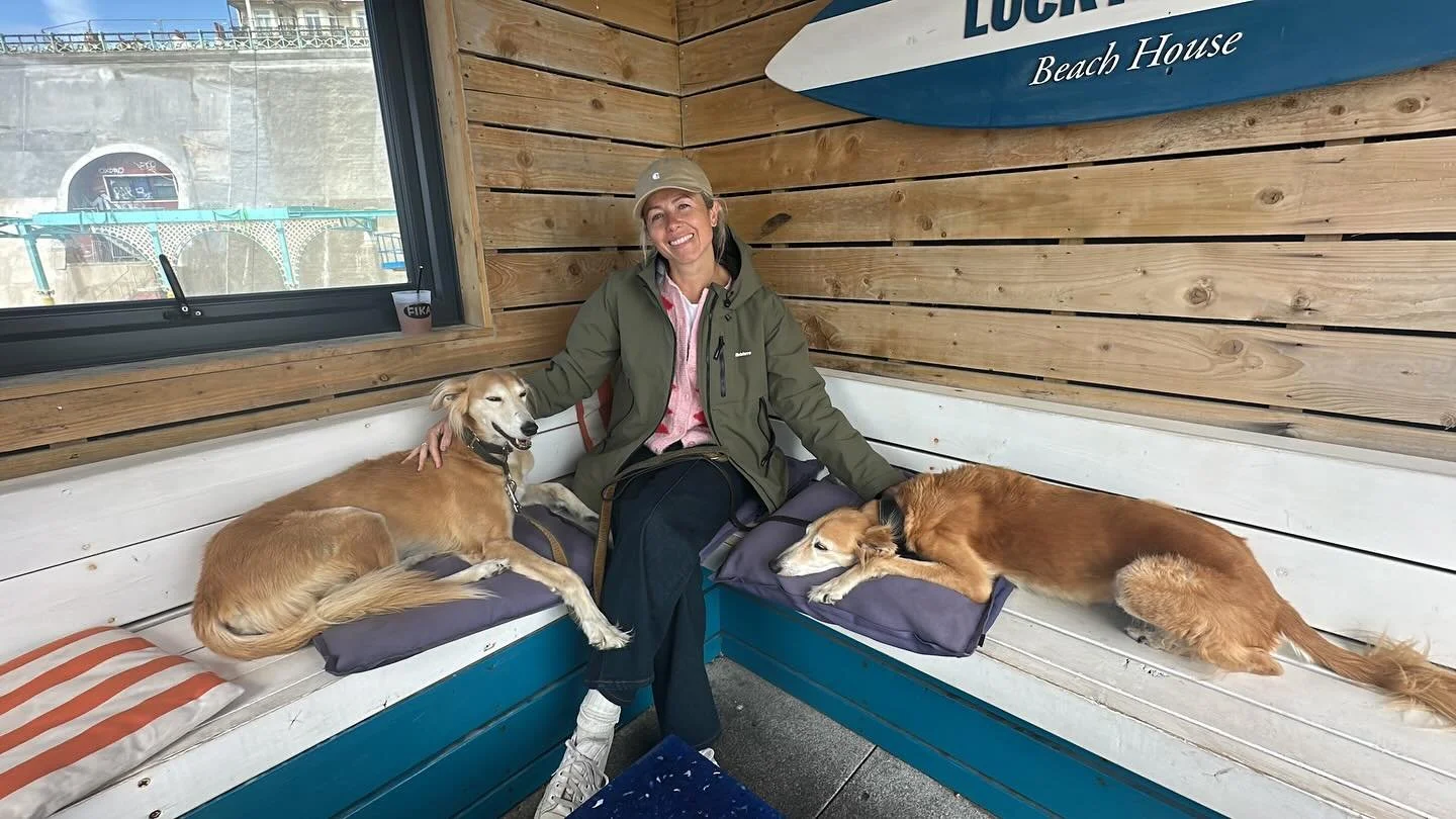 Doggy Day Care!!!
This is what my Fridays look like&hellip; my fav day, because it&rsquo;s me and the hounds!! My hound Daisy and my good friends hound Maxy&hellip; I love them both so much! Love our walks, and our cuddles! They really are the best B
