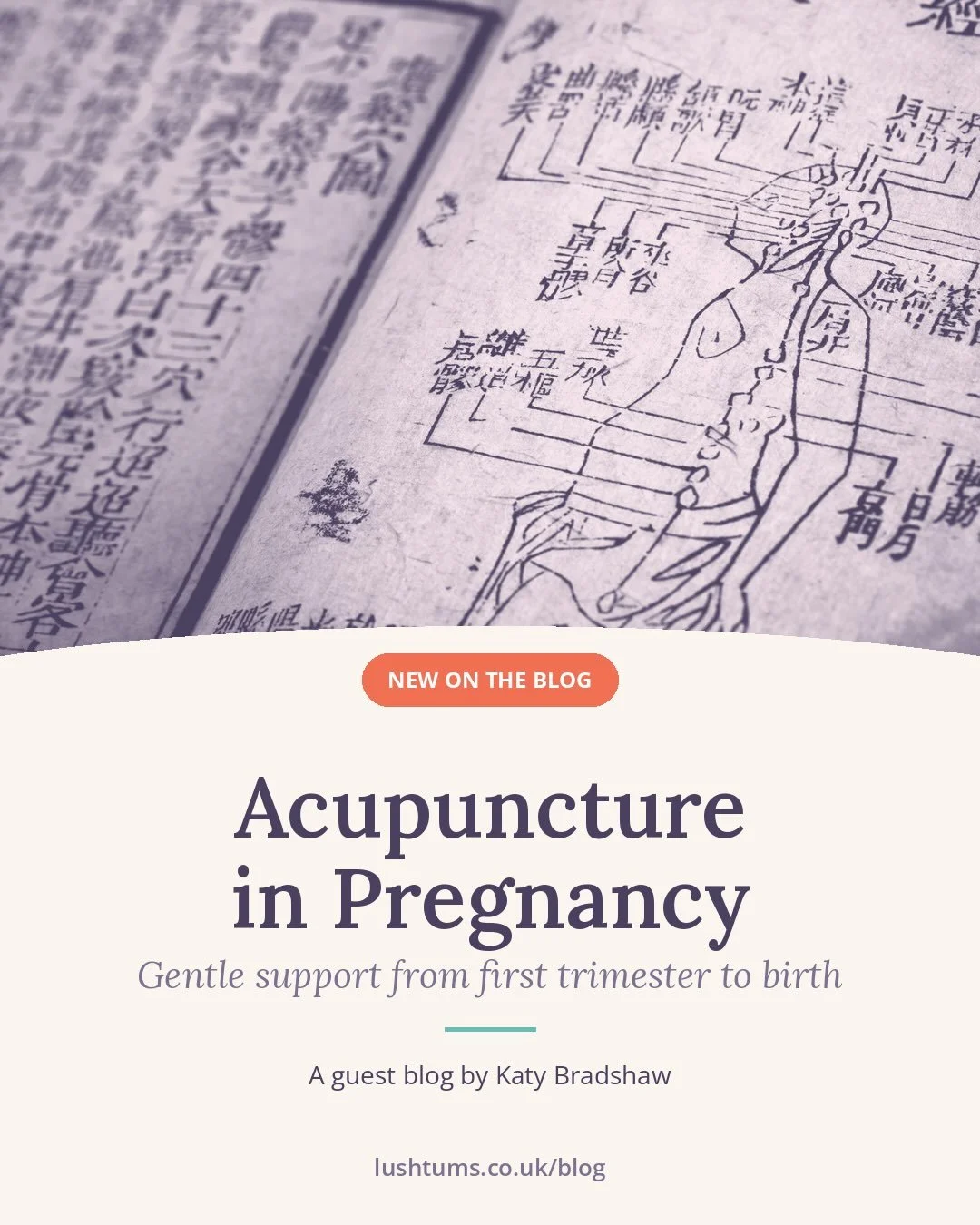 We&rsquo;re delighted to welcome acupuncturist Katy Bradshaw, one of our lovely LushTums students, to the blog. She shares how gentle, tailored acupuncture can support you through each stage, from those queasy early weeks (salt and vinegar crisps and