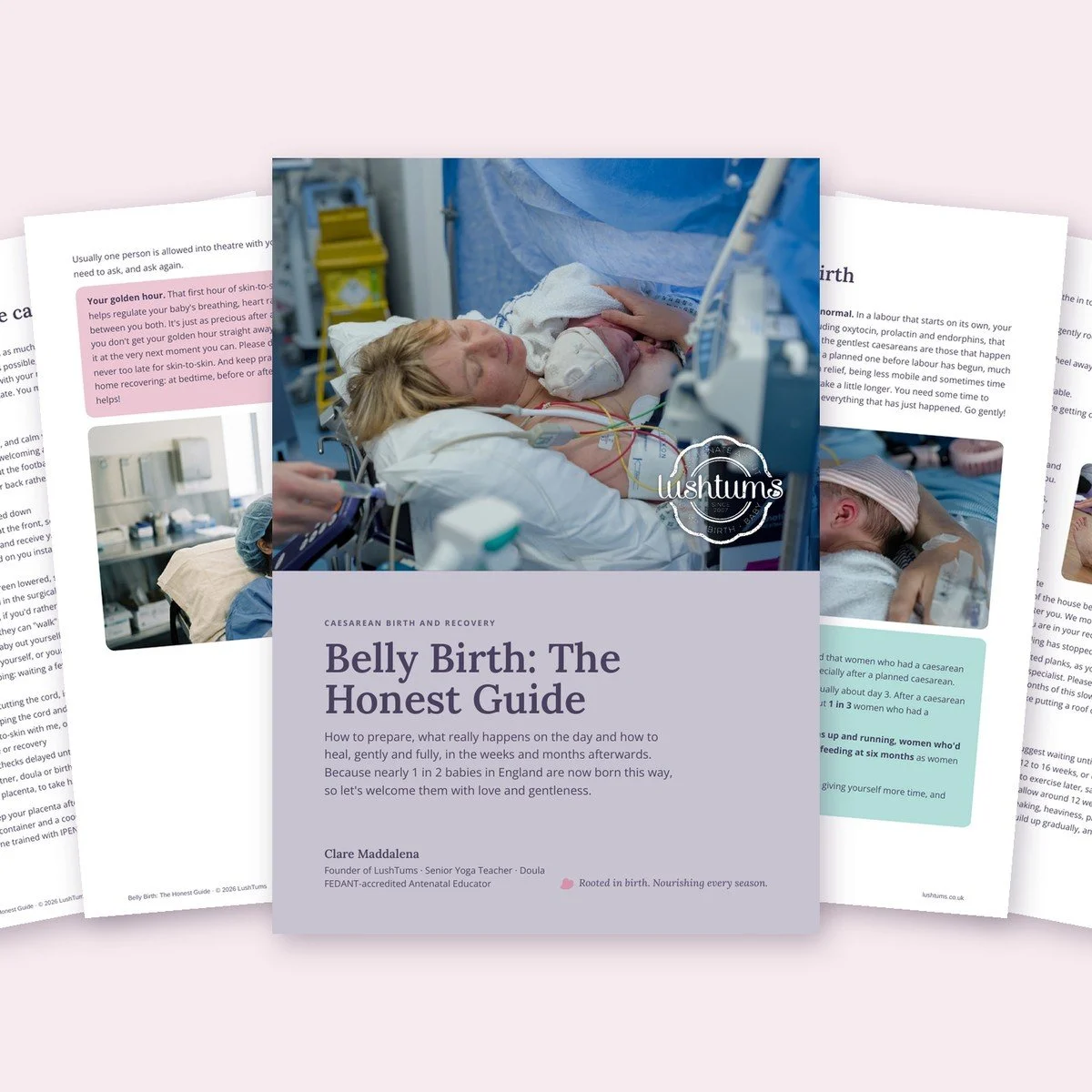 Belly Birth Guide PDF with pages spread