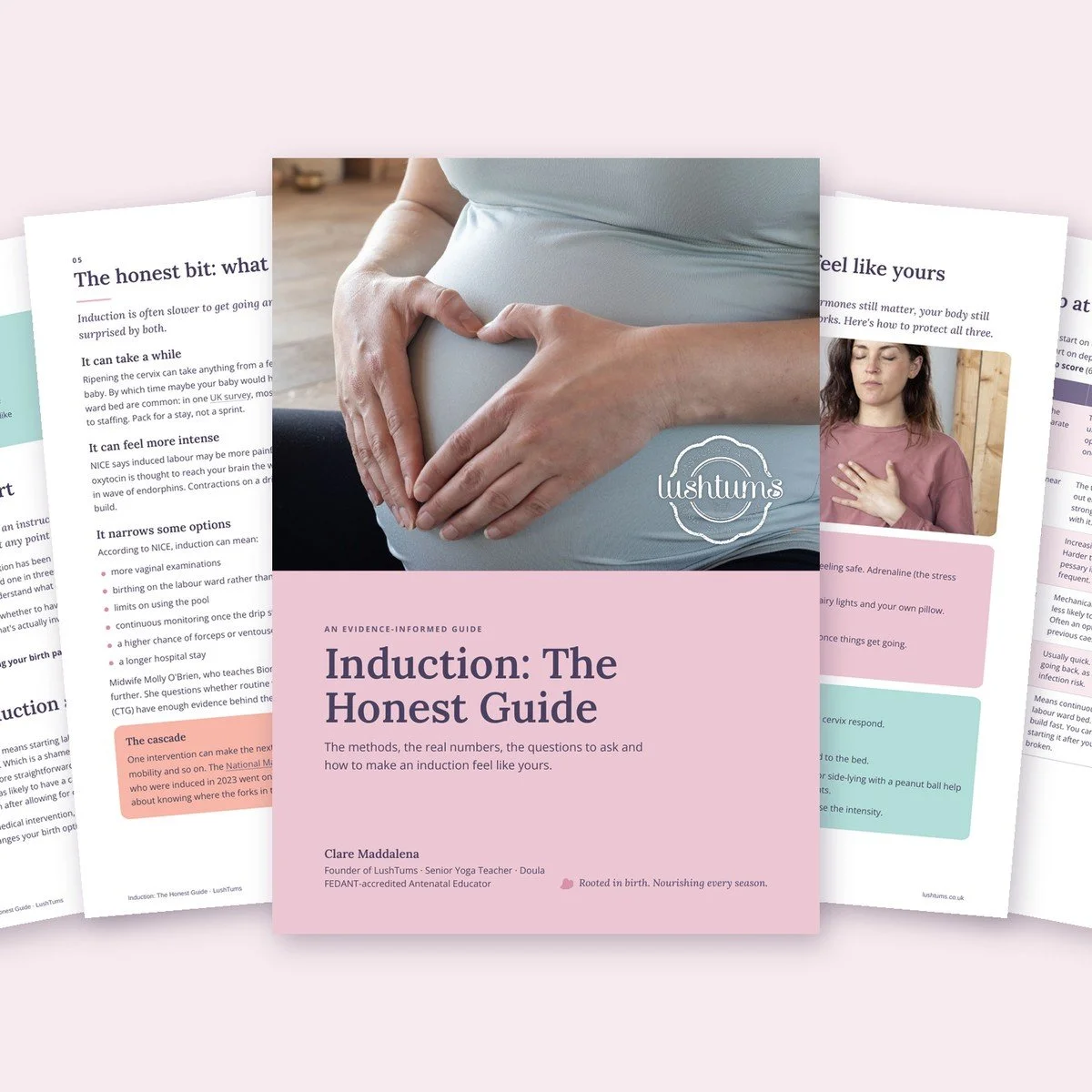 Induction Guide PDF with pages spread