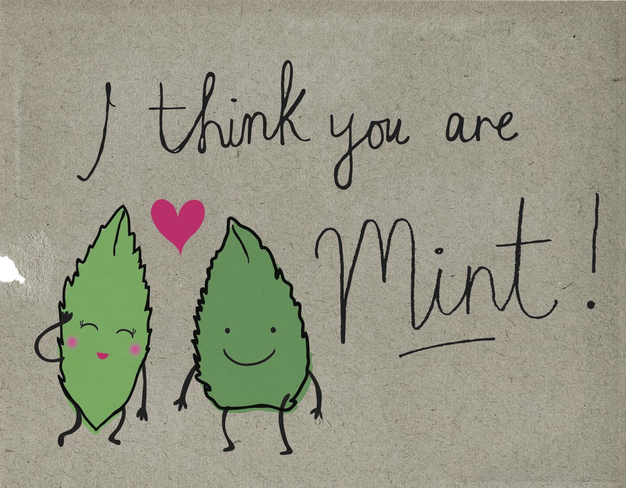I think you are mint! Valentines graphic designed by Lizzie Lees for Paperchase. © Paperchase Ltd. 