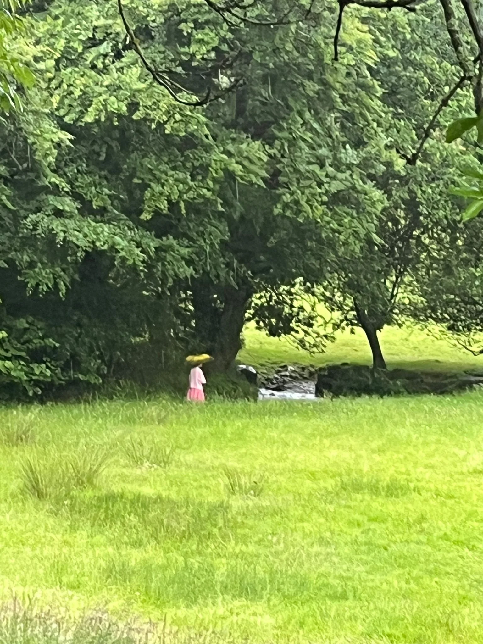 PHOTO-2025-07-19-15-51-05 3.jpg