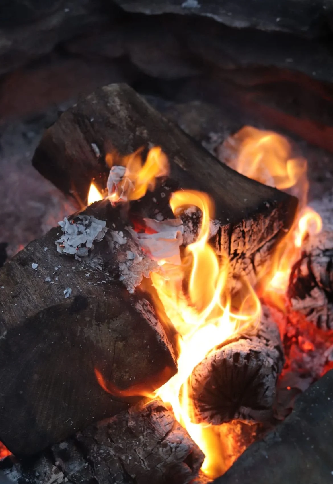 PHOTO-2025-07-19-15-53-21 2.jpg