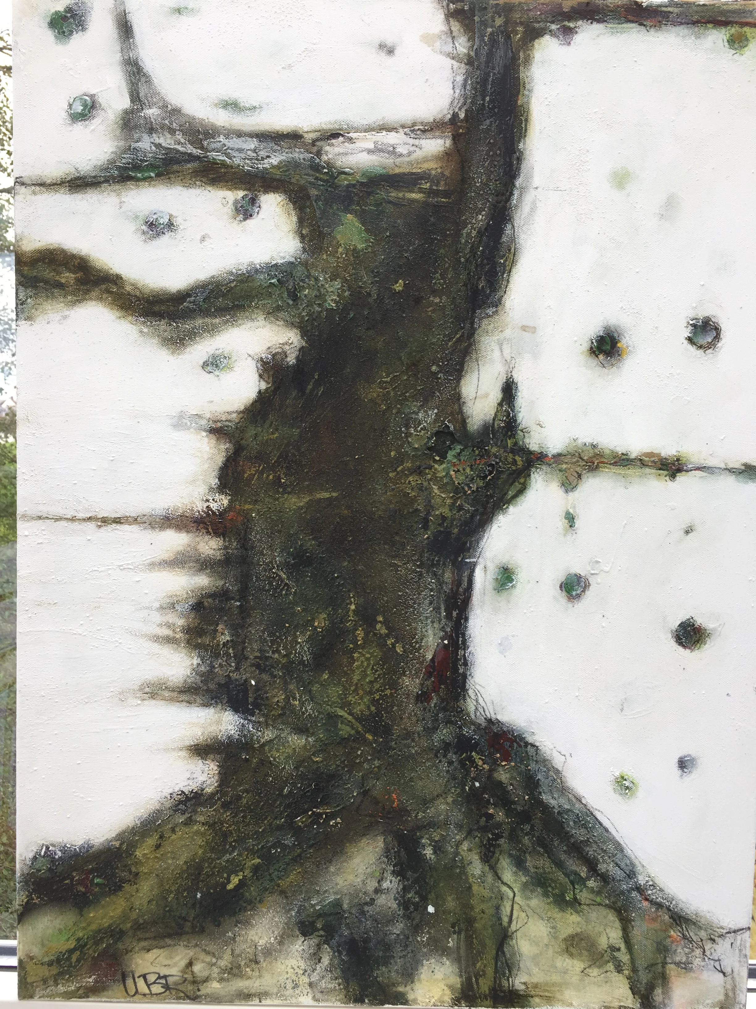 OLIVENBAUM (Bild 68)