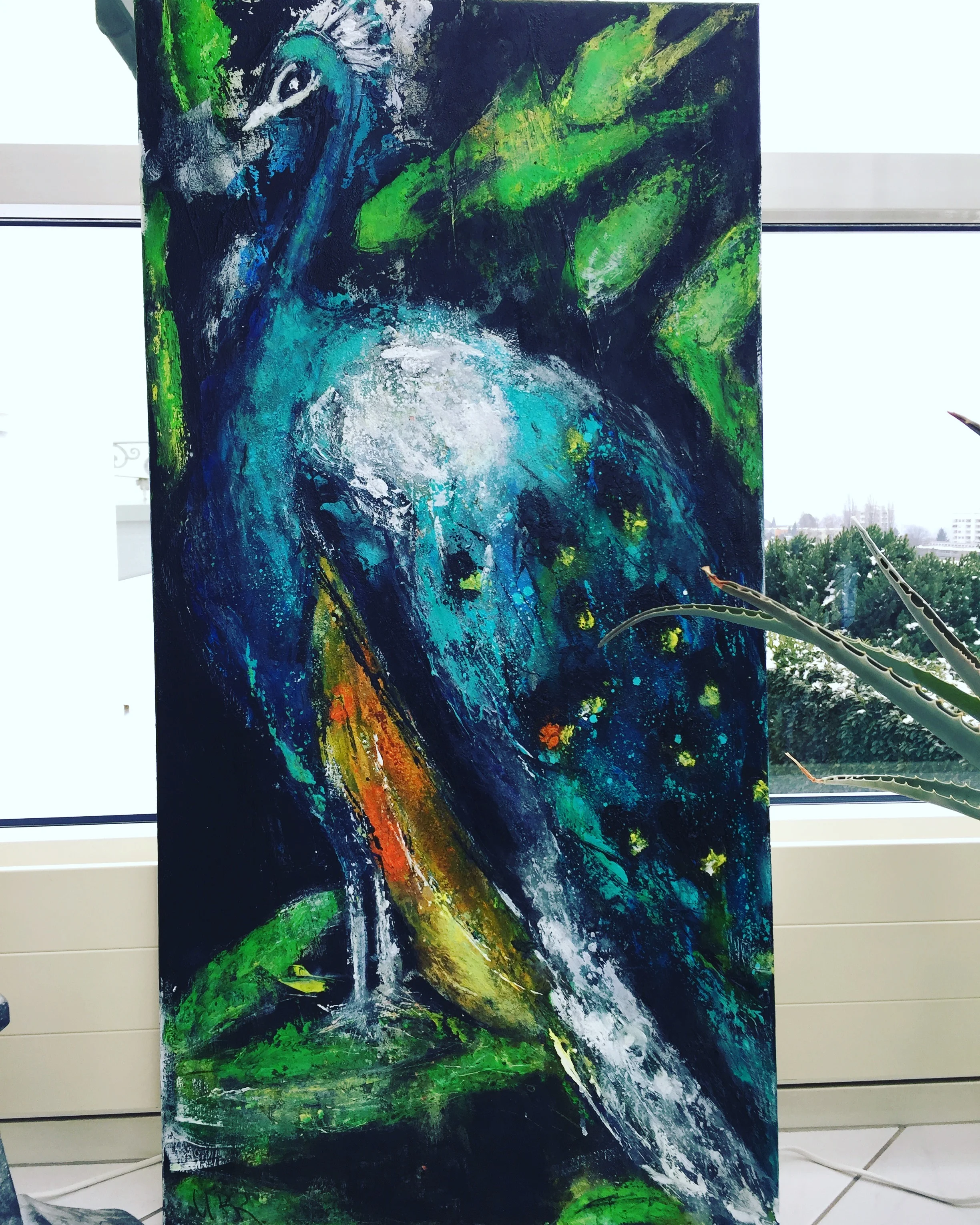 PFAU (Bild 97) Im Privatbesitz