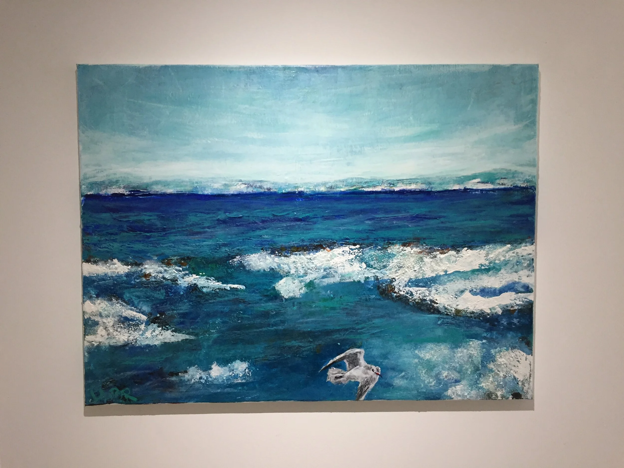 Bild (152)Bodensee im Winterkleid